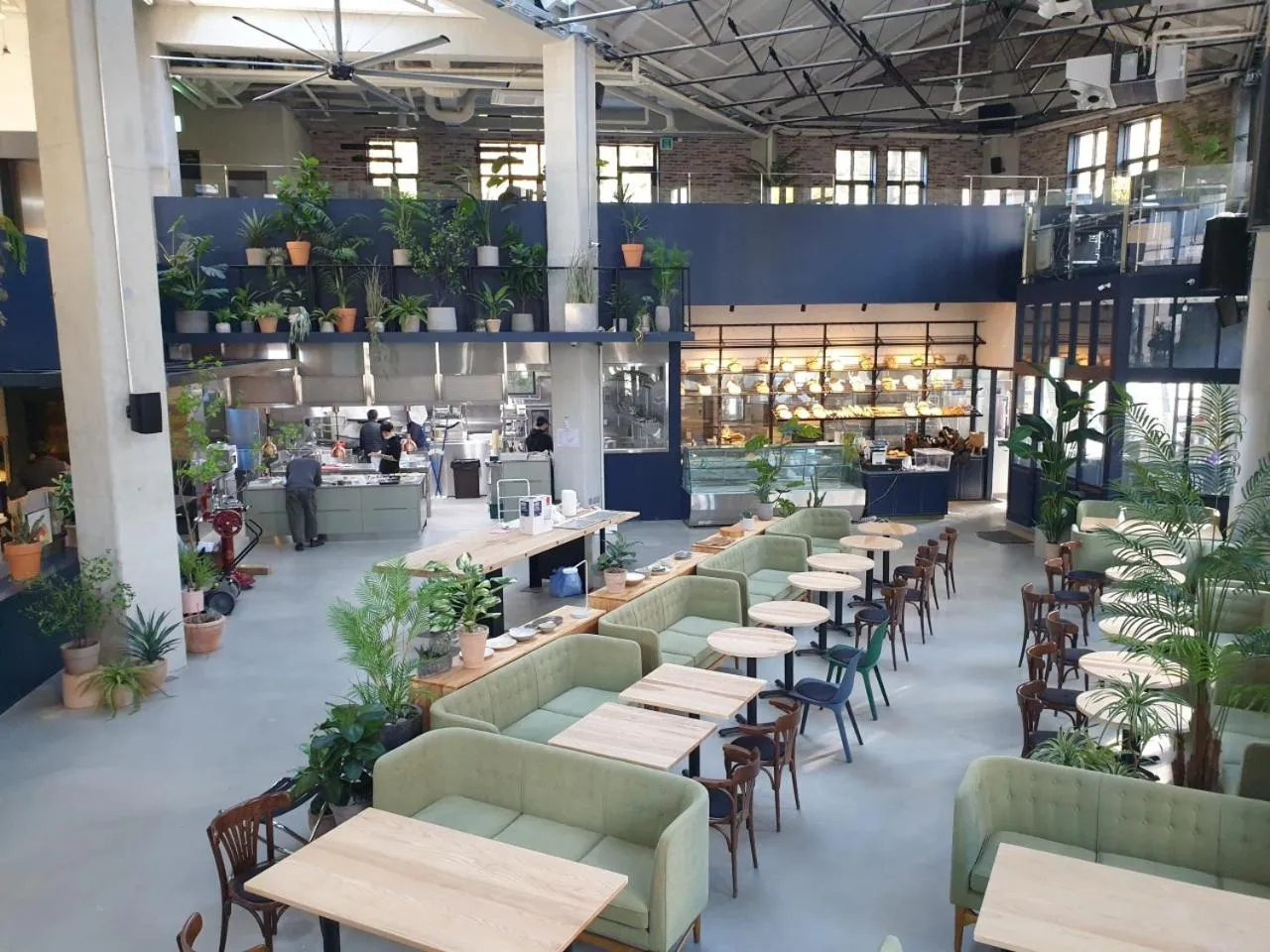 Restaurant/places to eat in Junibino Hotel Hongdae