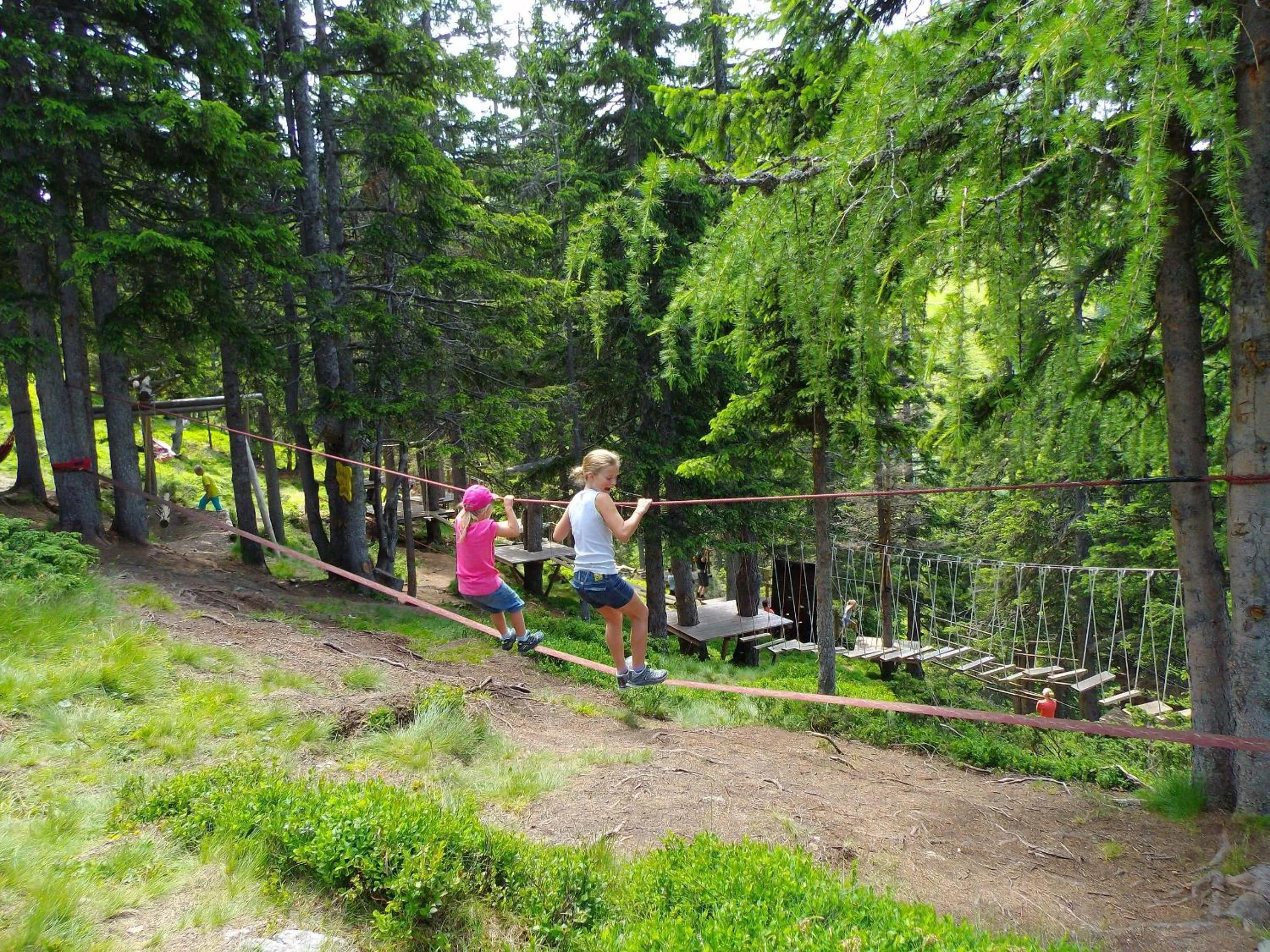 Hiking in Hotel & Alpengasthof Pinzgerhof