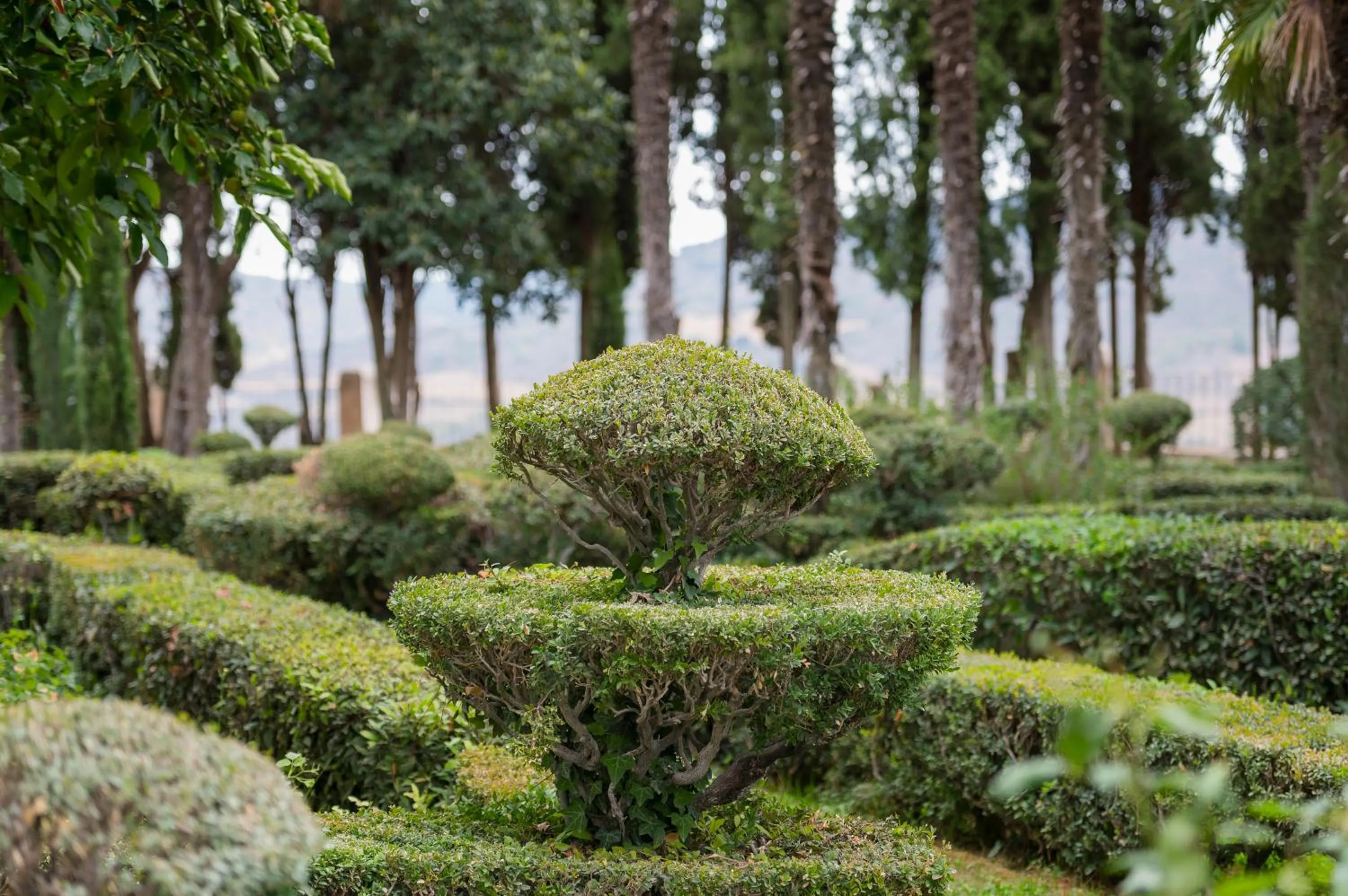 Garden in Castilla Termal Brihuega