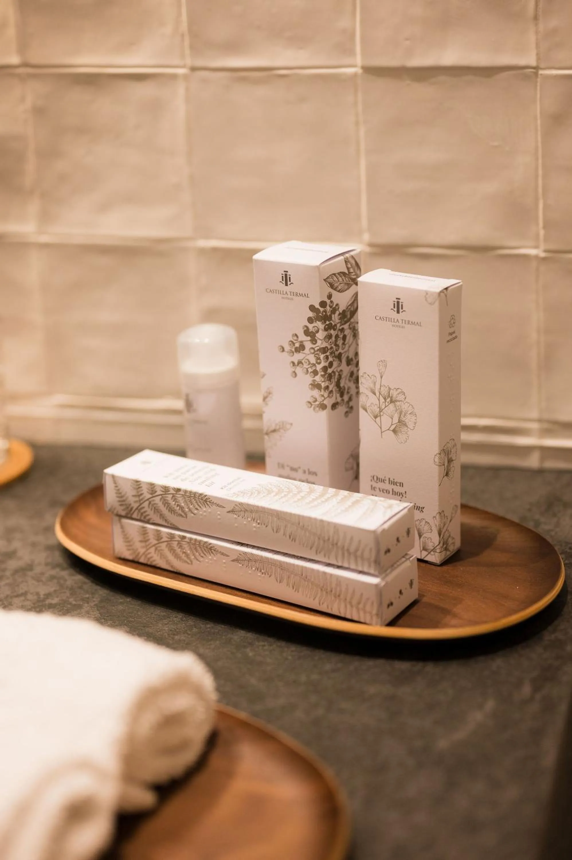 Toilet in Castilla Termal Brihuega