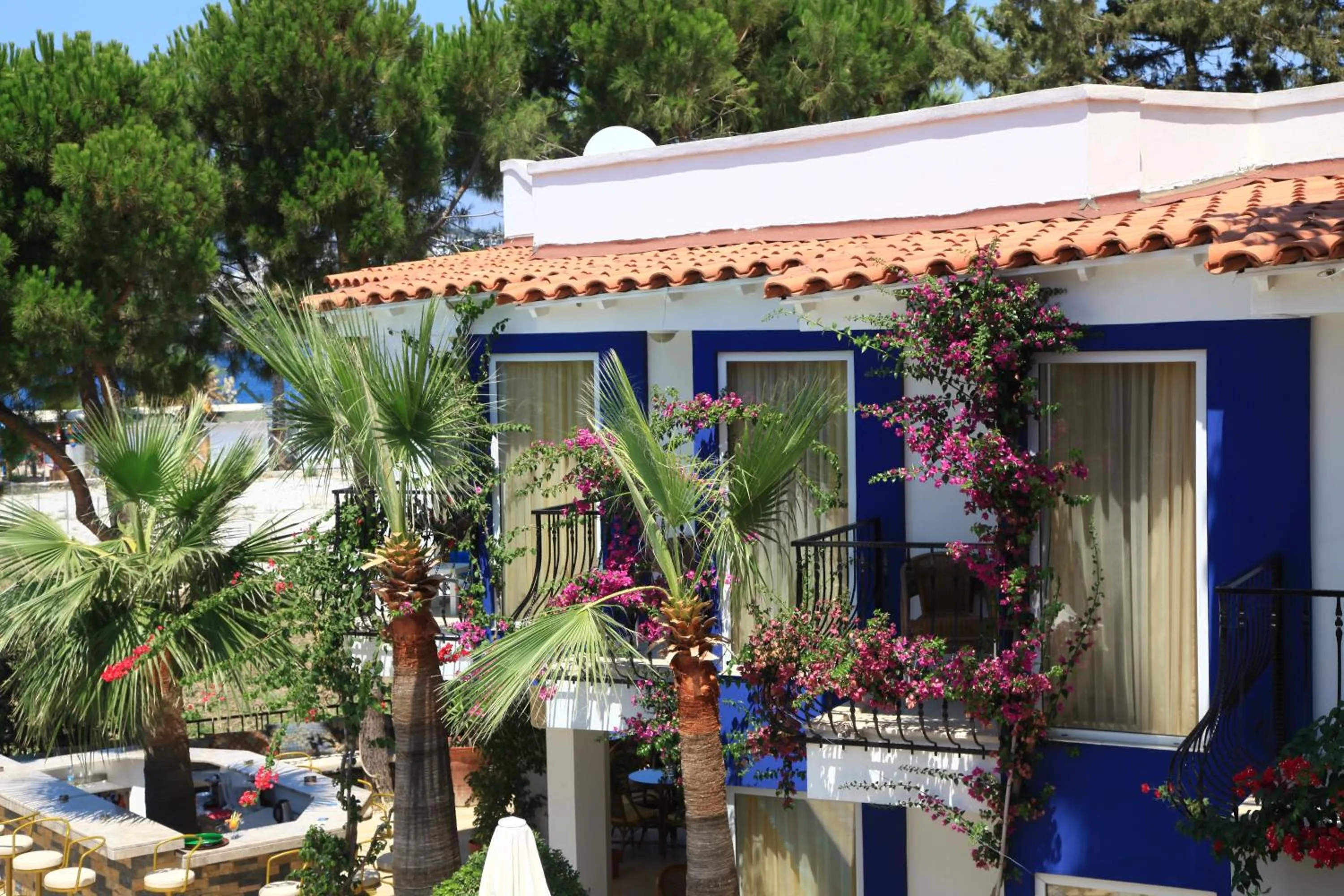 Garden in Catamaran Hotel