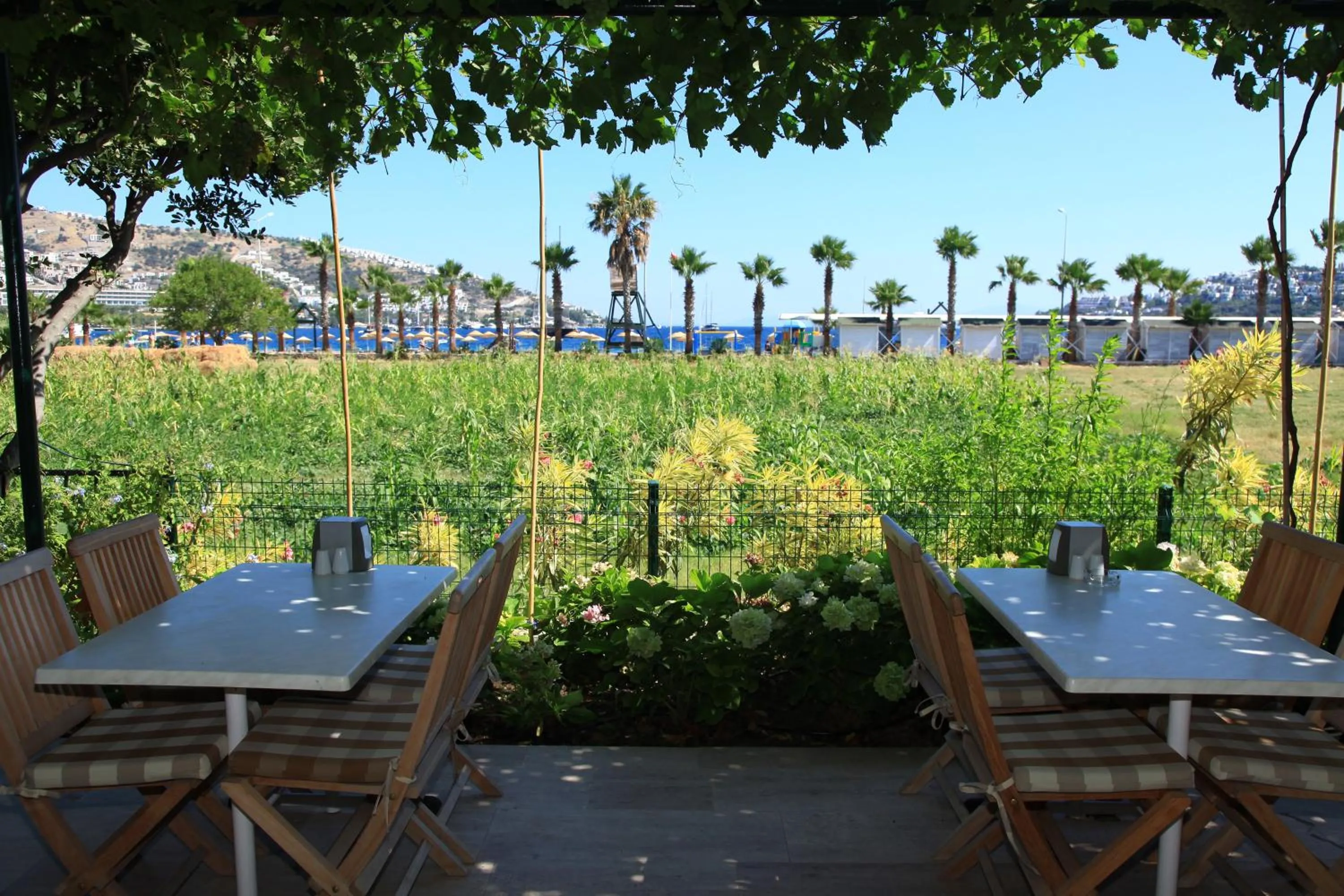 Dining area in Catamaran Hotel