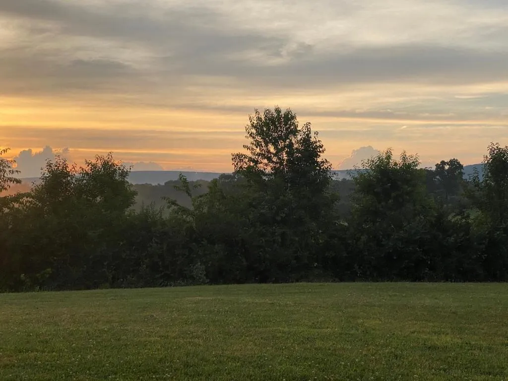 Natural landscape in Chestnuthill Countryside Manor