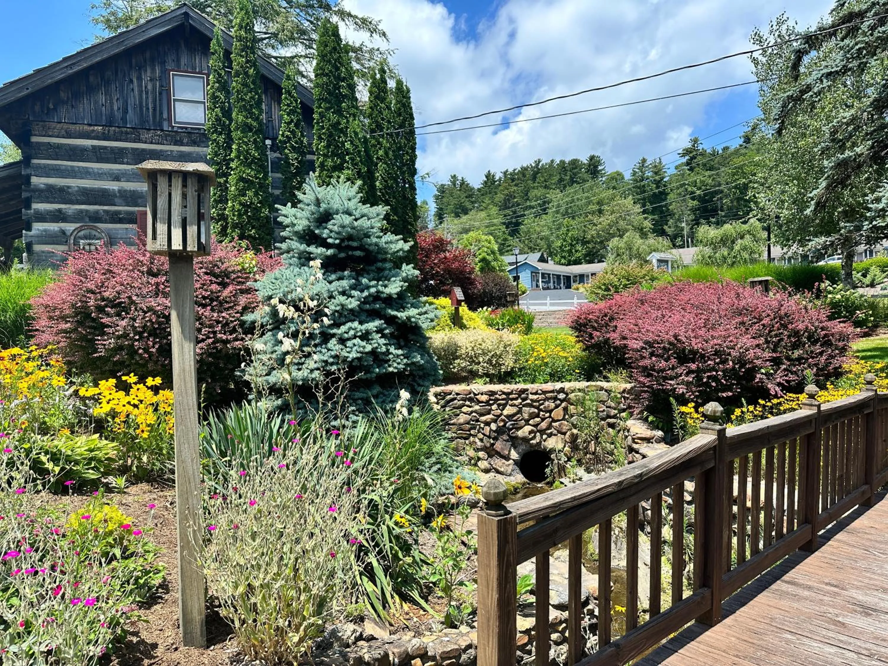 Garden in Azalea Garden Inn