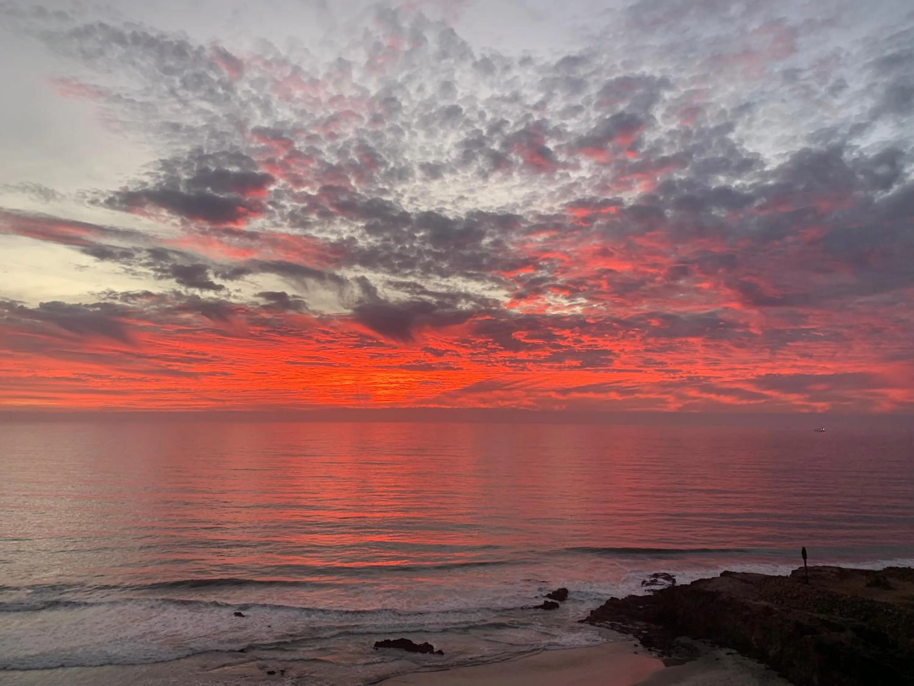 Sunset in The Dolphins Ocean Front-Beach 2 BR 2Bth