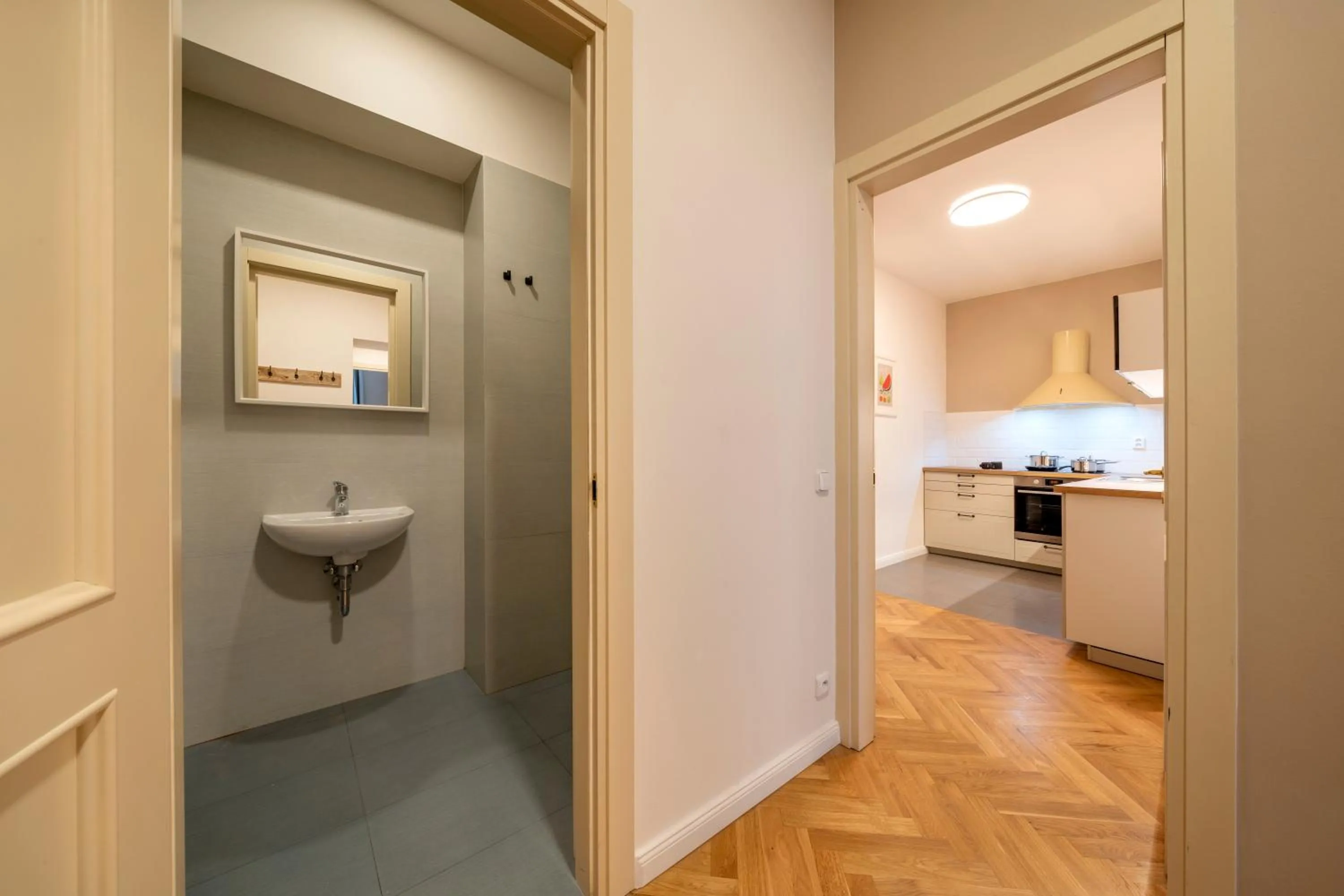 Kitchen or kitchenette in Apart Hotel Zborovska