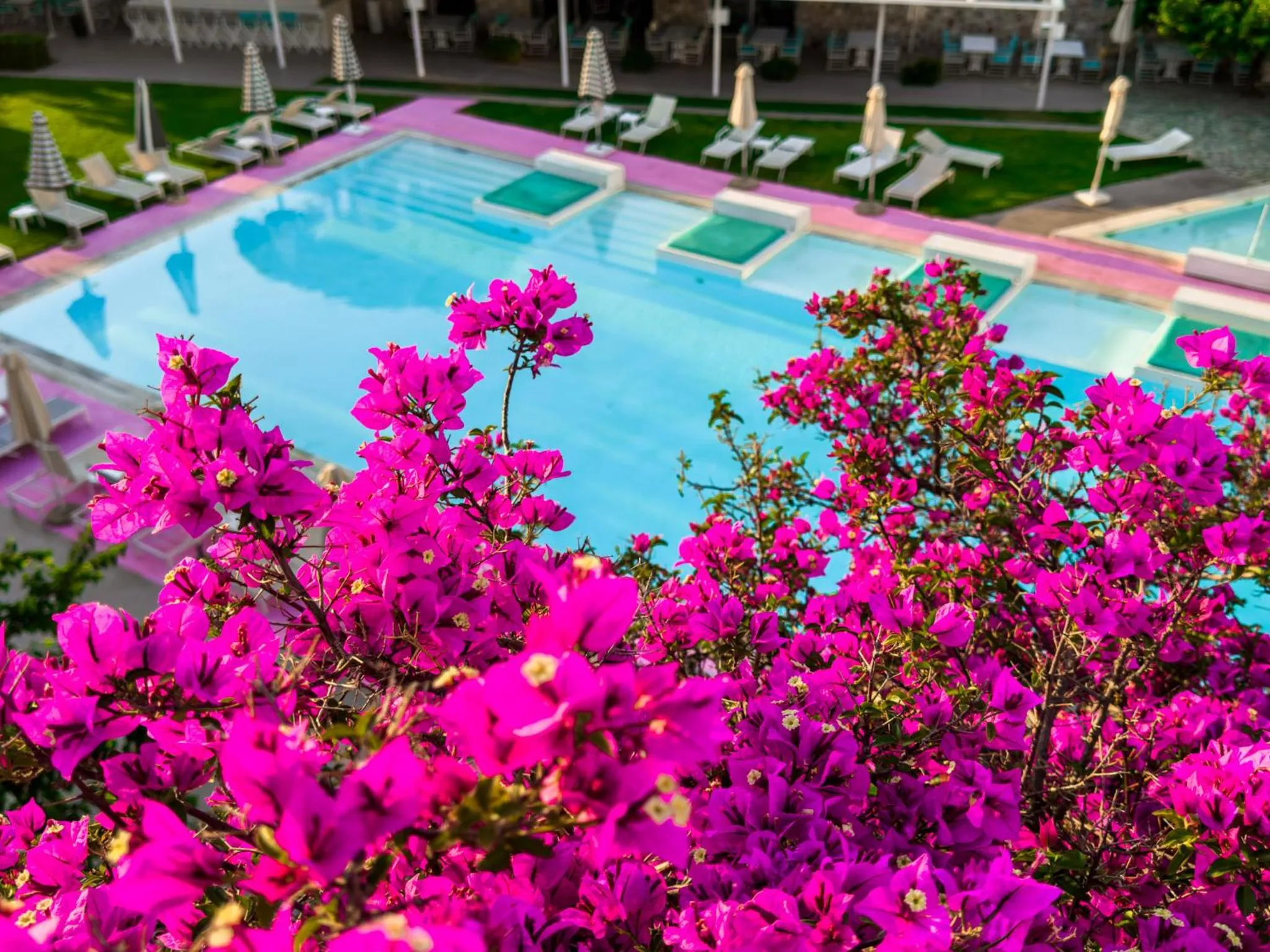 Pool view in Marathon Beach Resort
