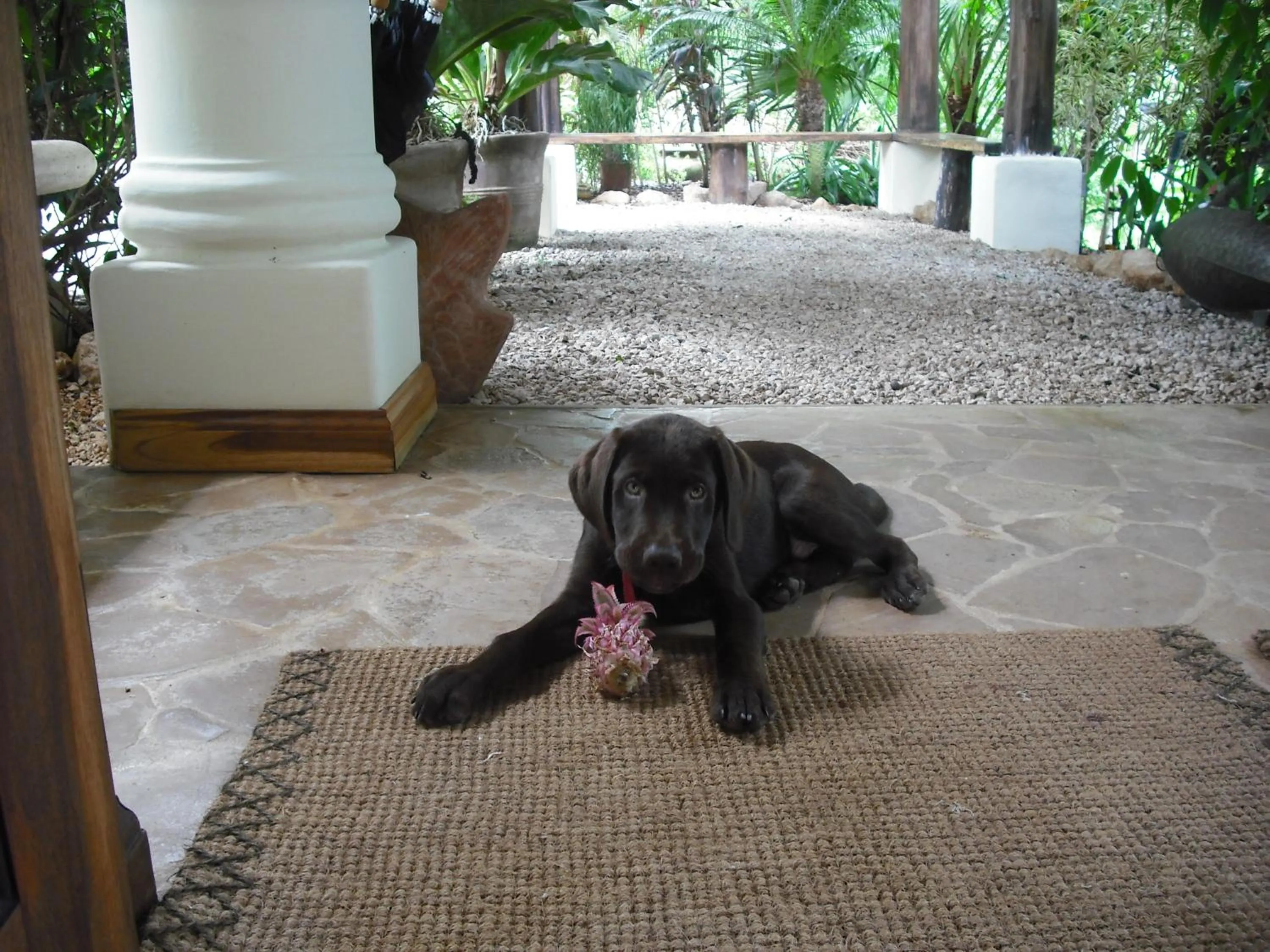 Decorative detail in Los Altos de Eros - Adults Only