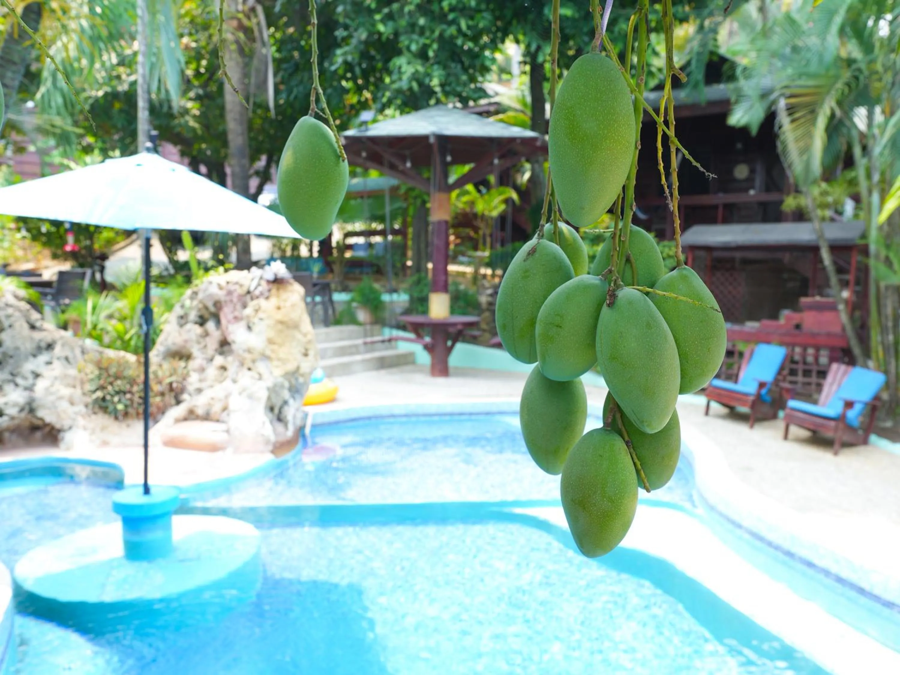 Natural landscape in West Bay Lodge and Spa
