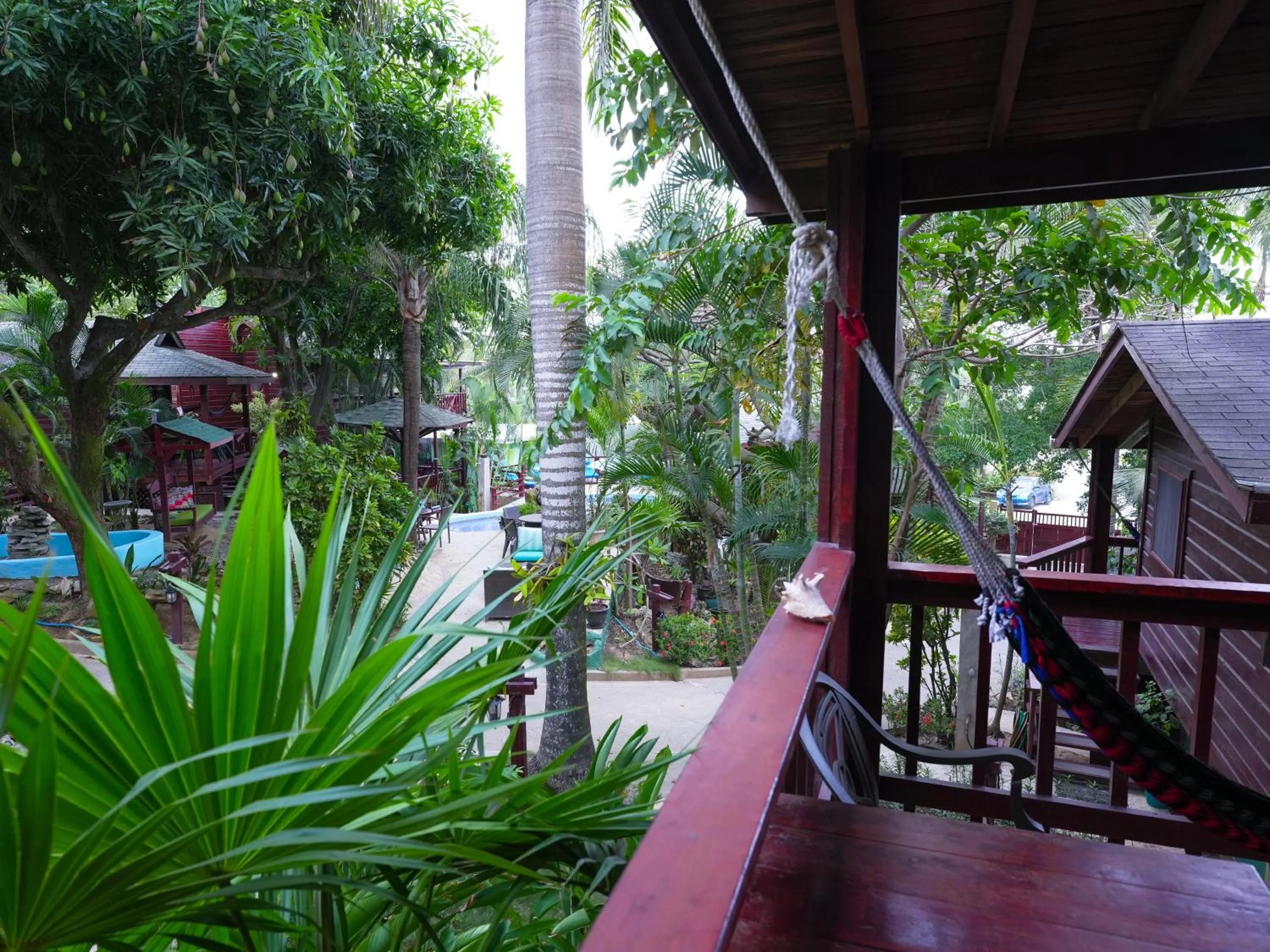 Garden in West Bay Lodge and Spa