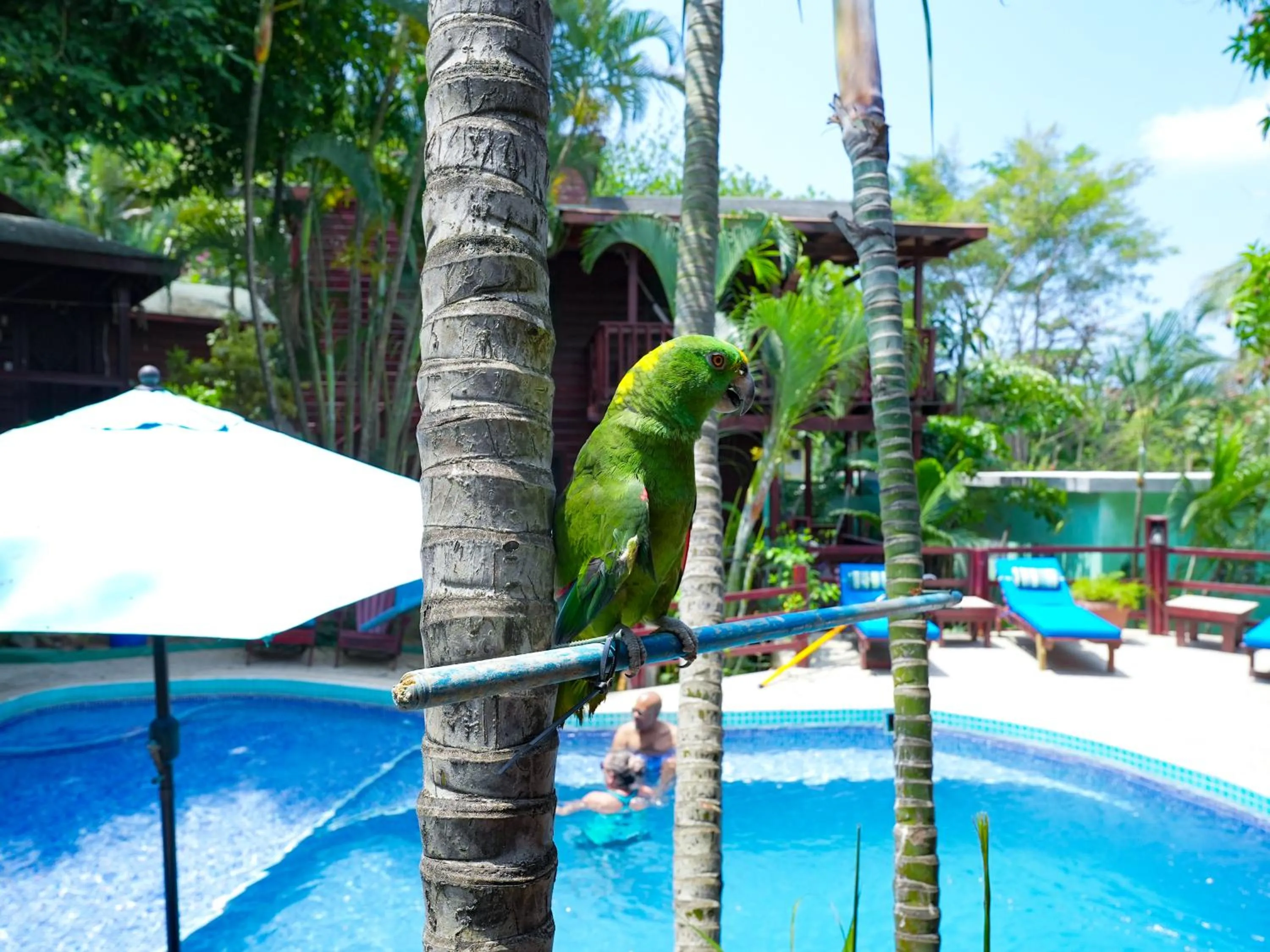 Garden in West Bay Lodge and Spa
