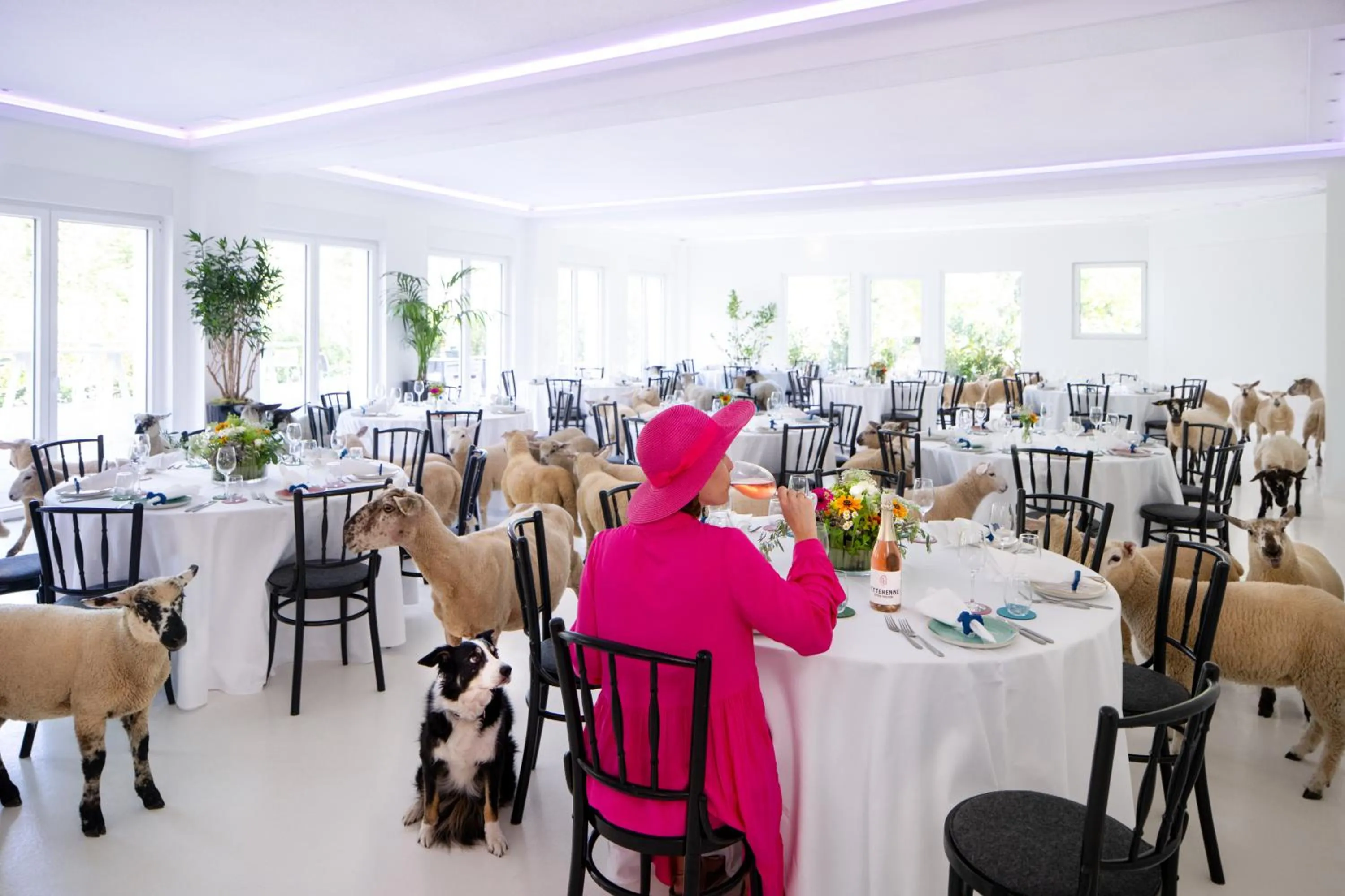 Banquet/Function facilities in Stuckhotel Fettehenne