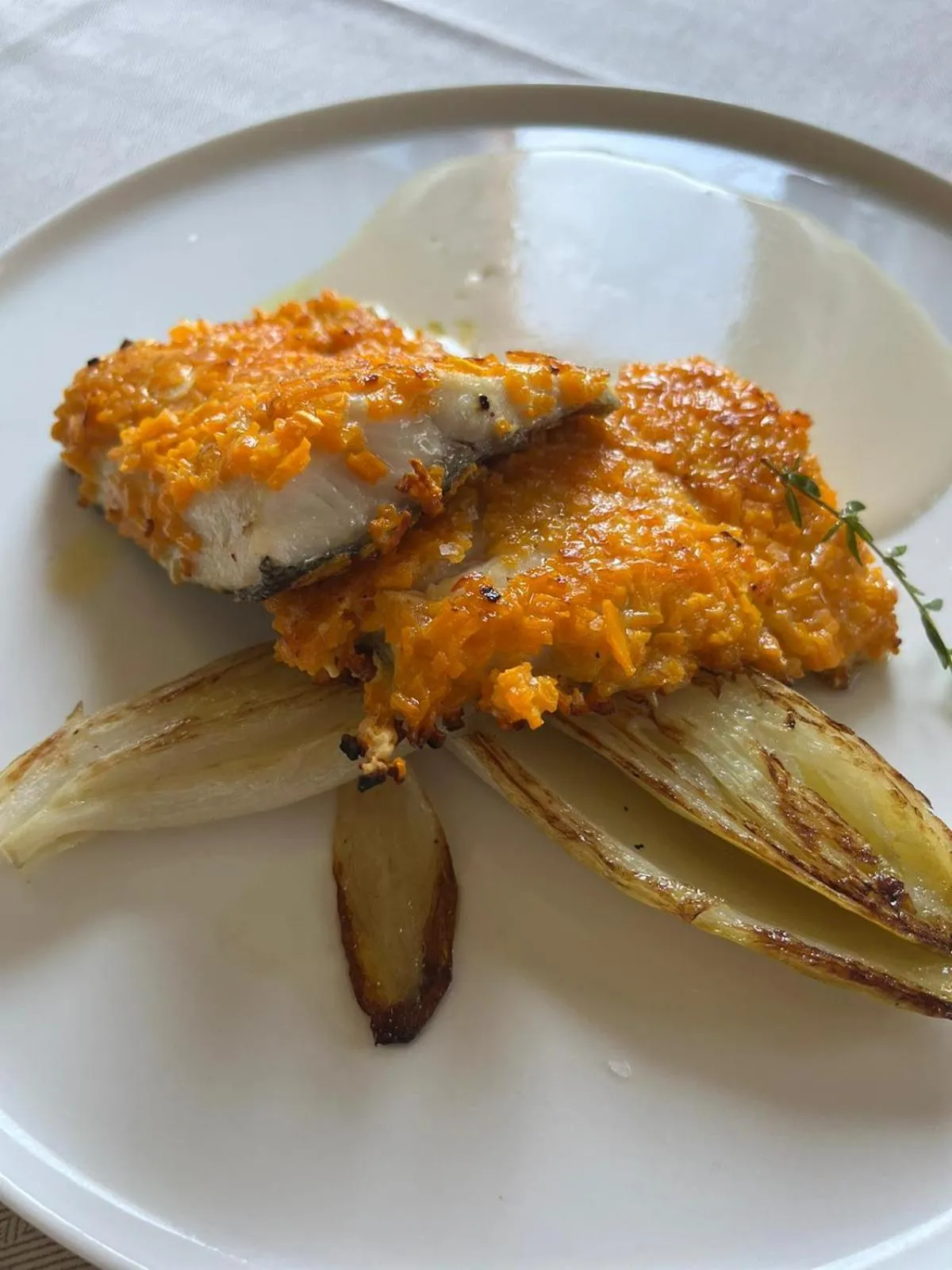 Restaurant/places to eat in Il Grifo