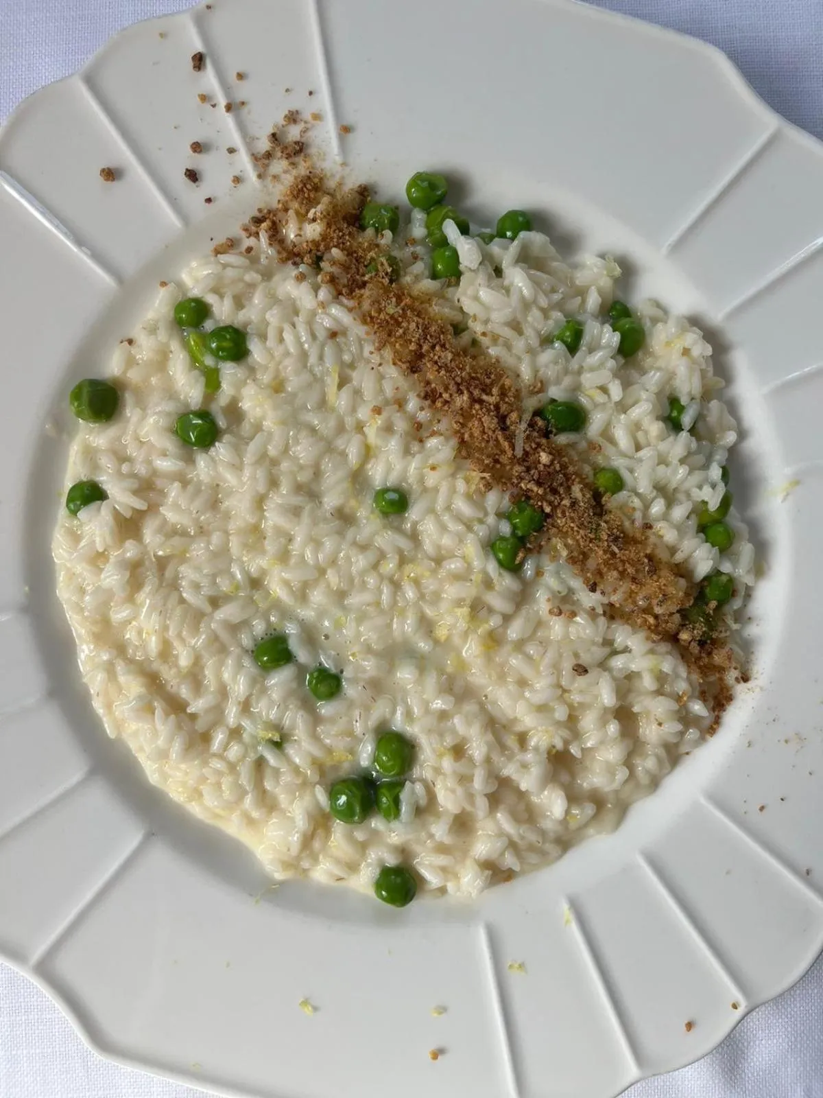 Restaurant/places to eat in Il Grifo