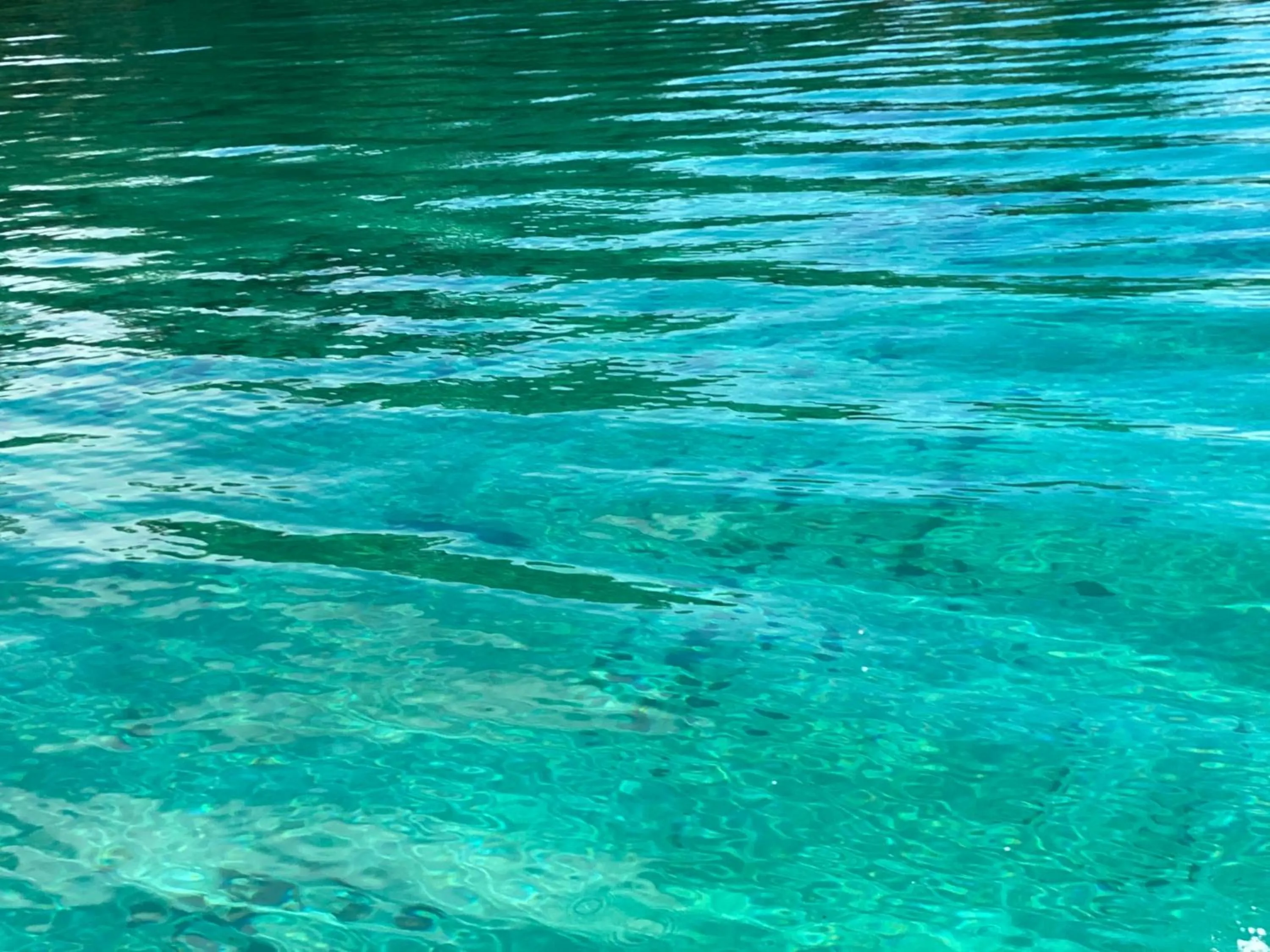Natural landscape in Hotel Caribbean View