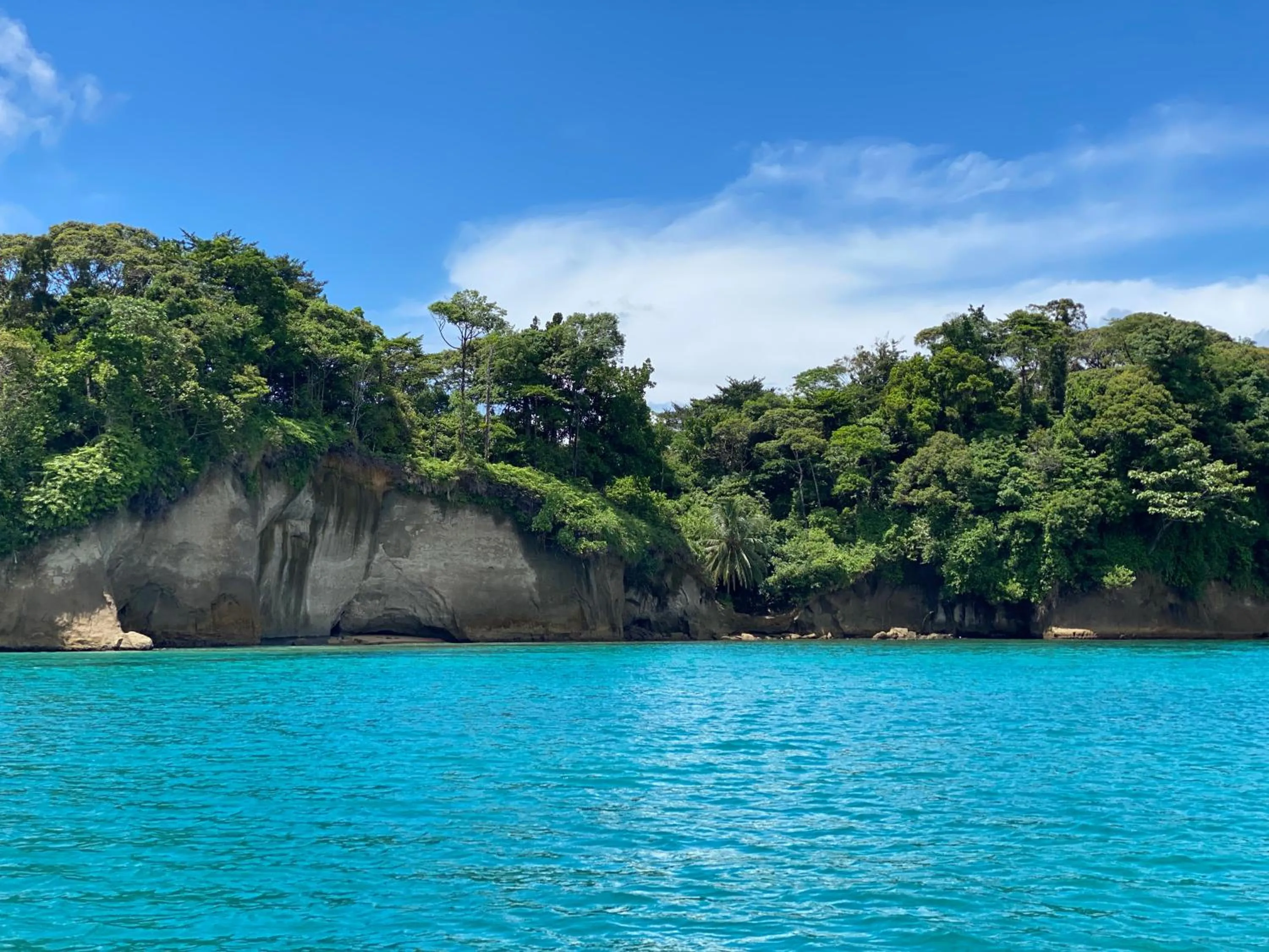 Natural landscape in Hotel Caribbean View