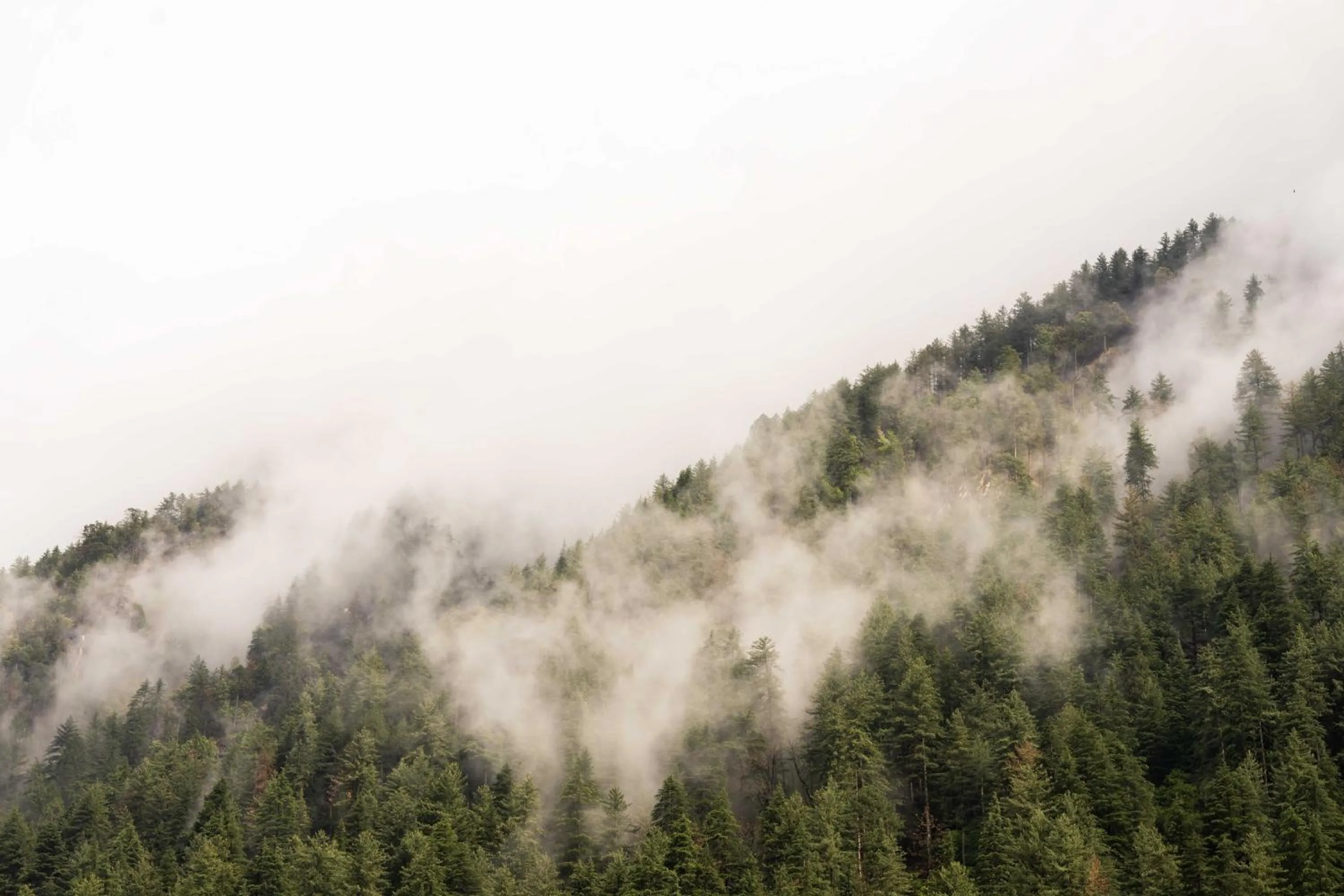 Mountain view in Zostel Kasol (Katagla)