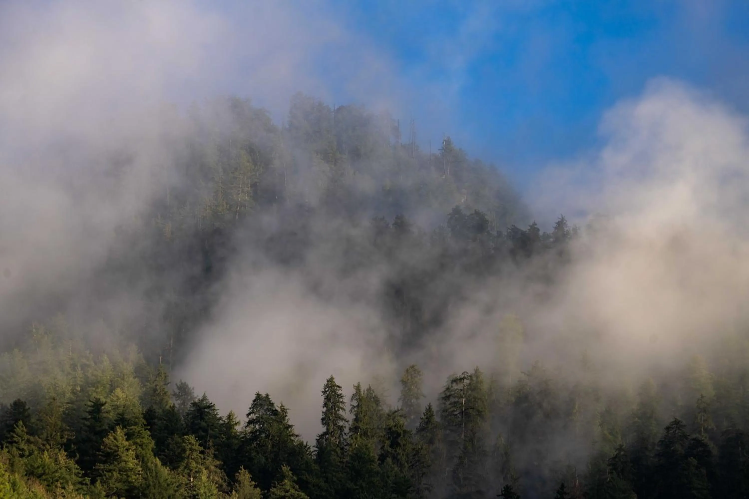 Natural landscape in Zostel Kasol (Katagla)