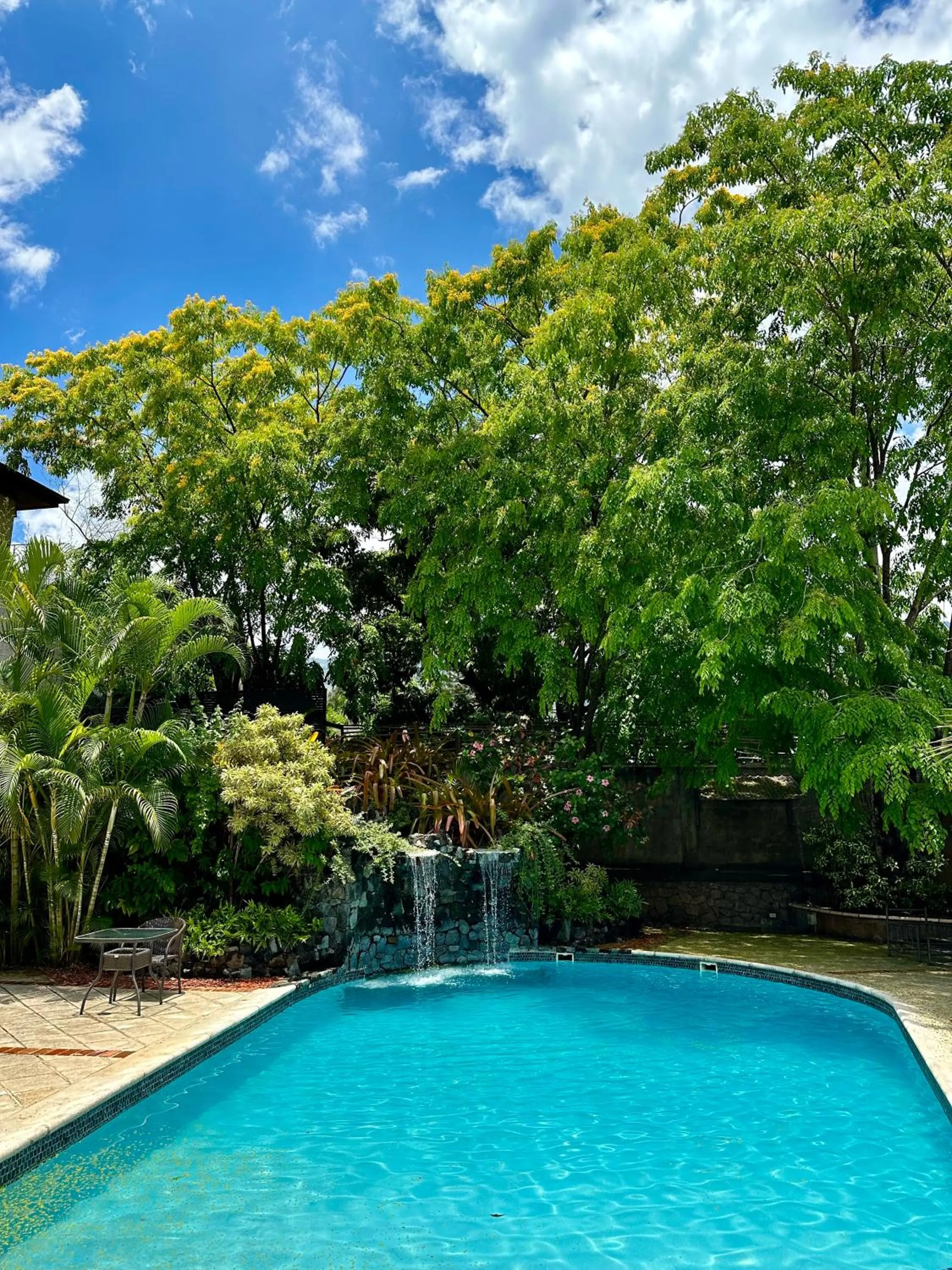 Swimming pool in Hotel Villa Therese
