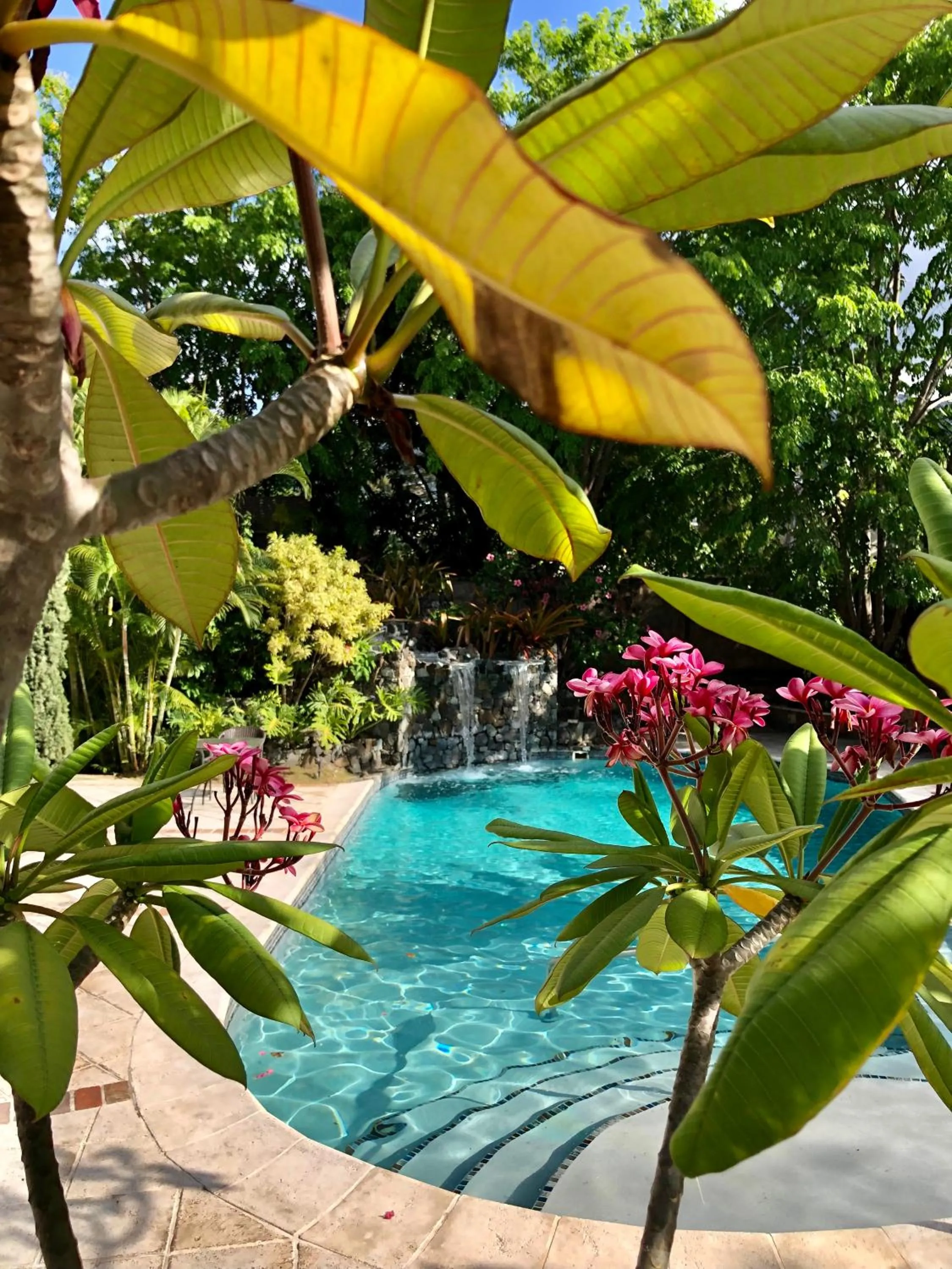 Swimming pool in Hotel Villa Therese