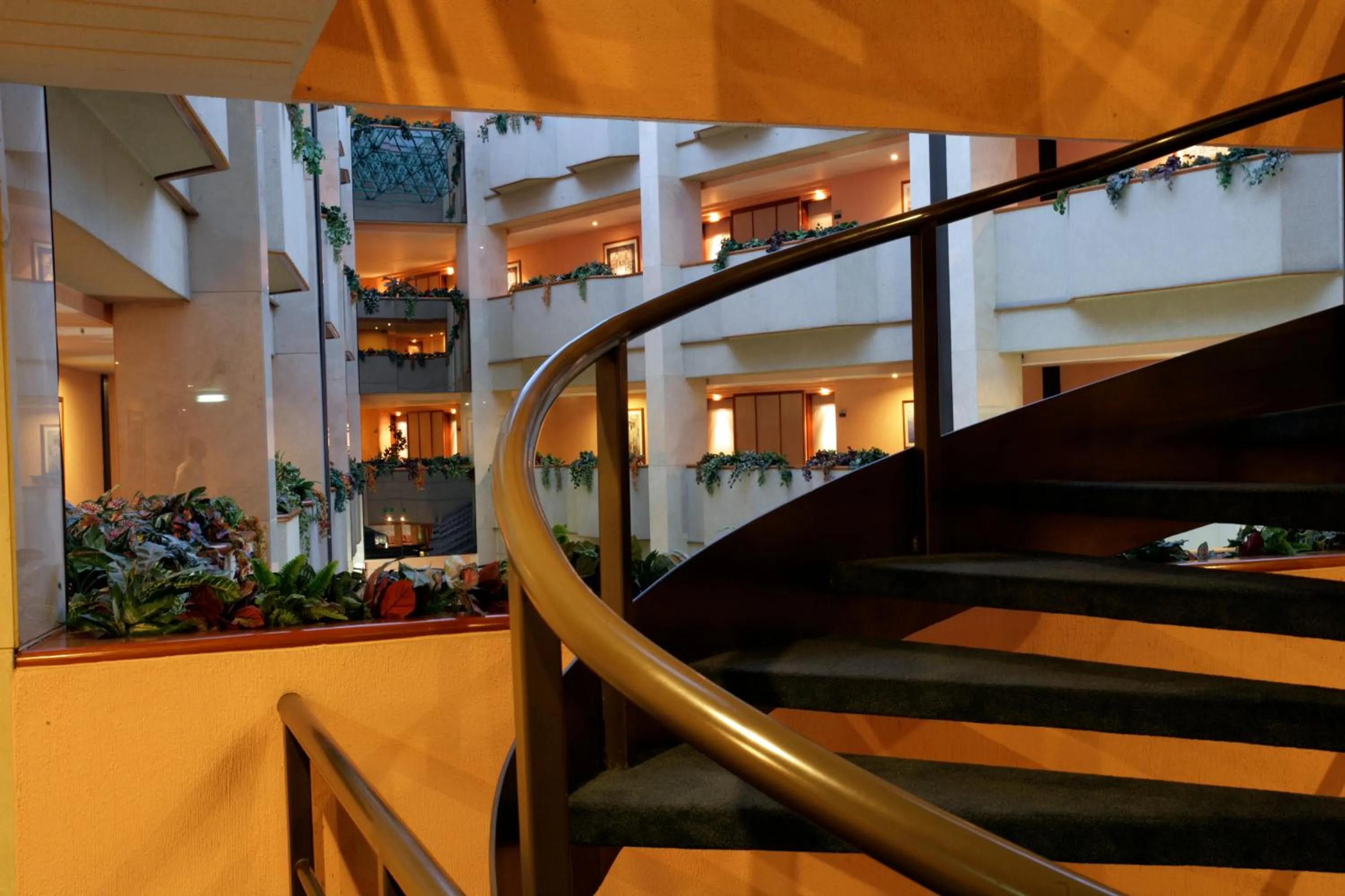 Bird's eye view in Hotel Abastos Plaza