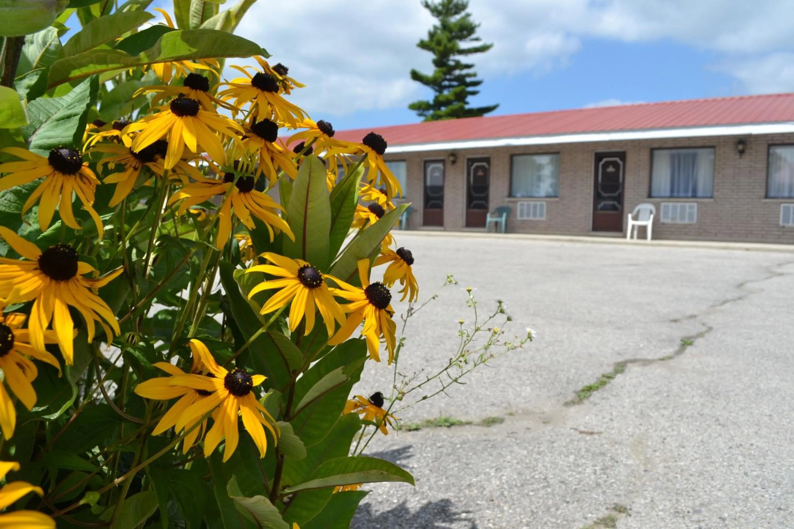 Facade/entrance in Lighthouse Motel