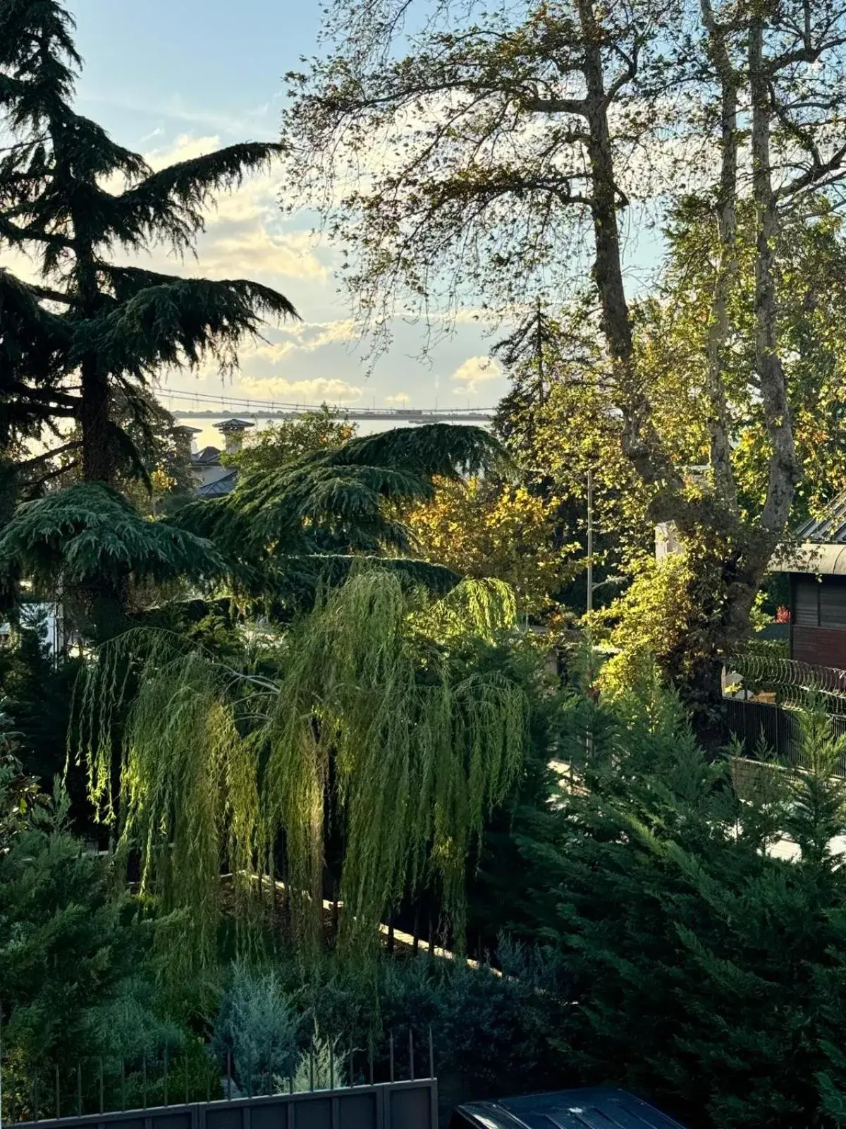 Suite in Mateo Suite in Mateo