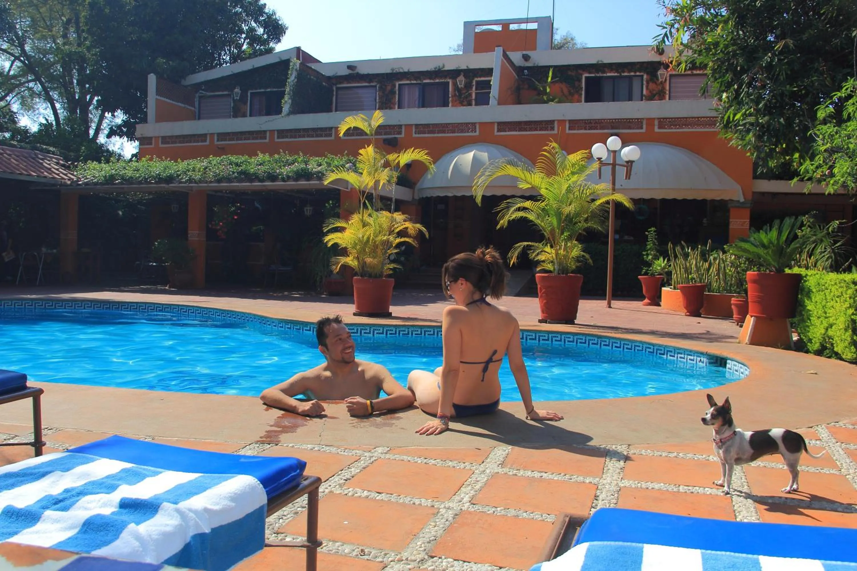 Swimming pool in CasaGrande Posada Ejecutiva