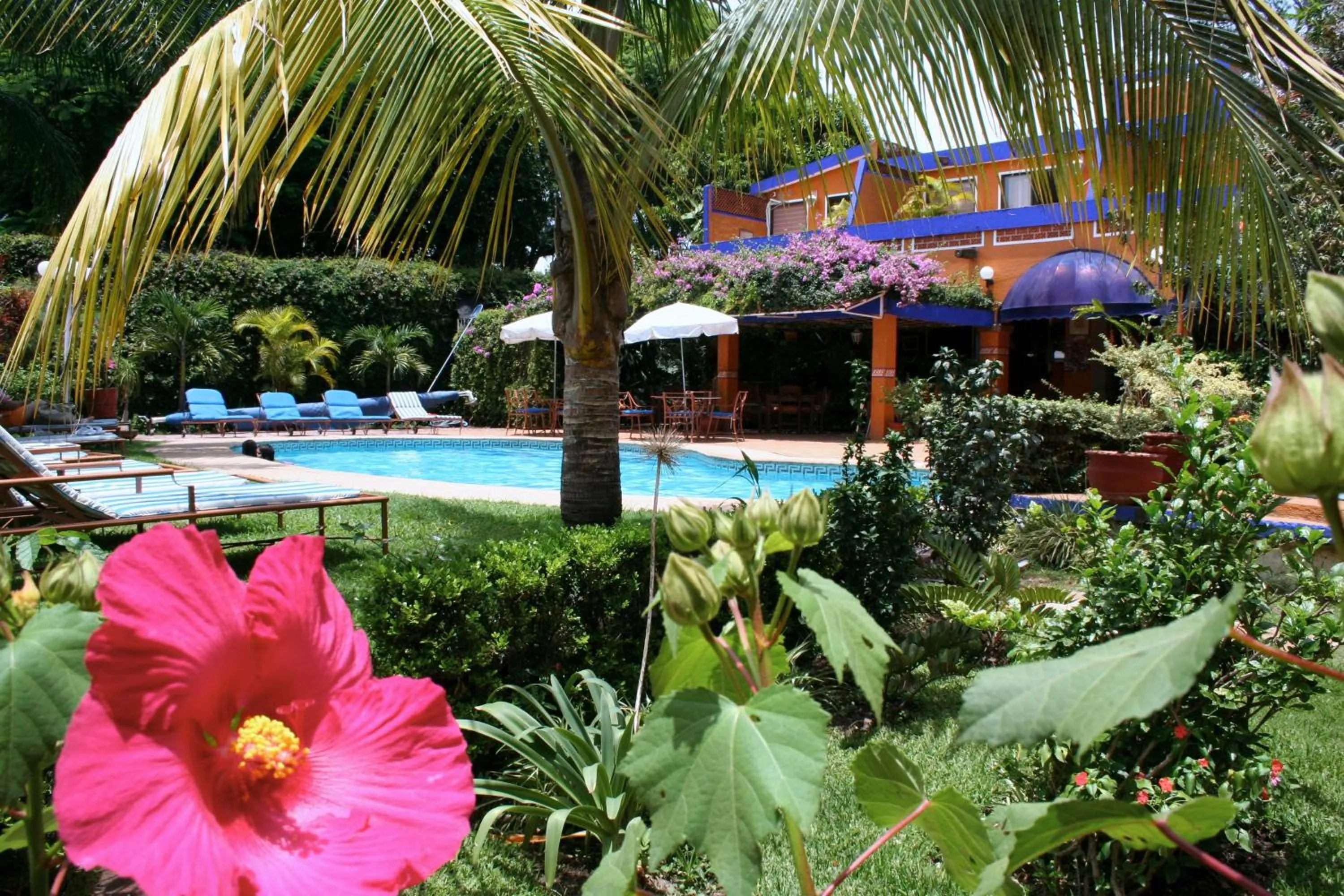 Swimming pool in CasaGrande Posada Ejecutiva