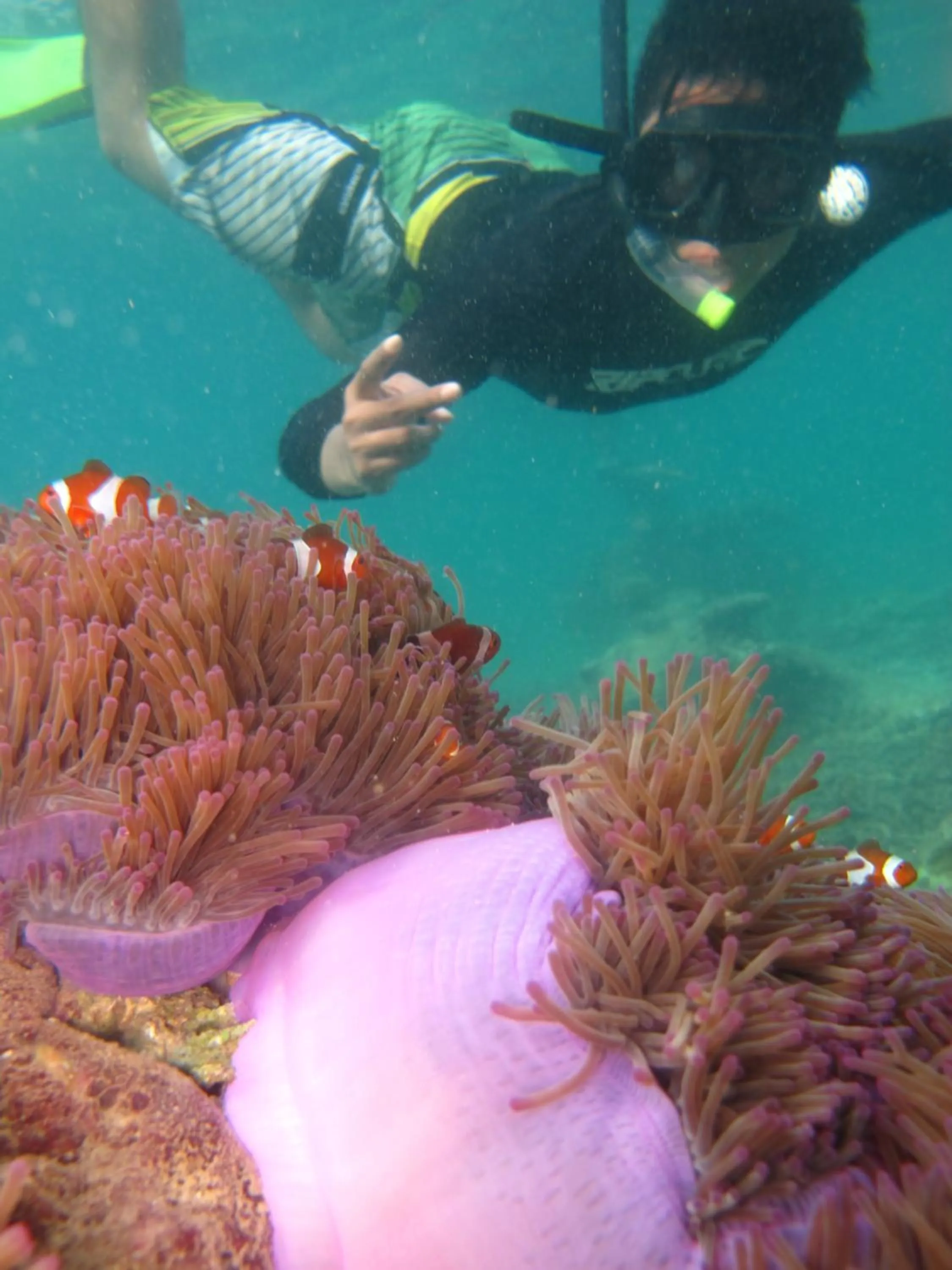 Diving in Ombak Dive Resort Perhentian Island