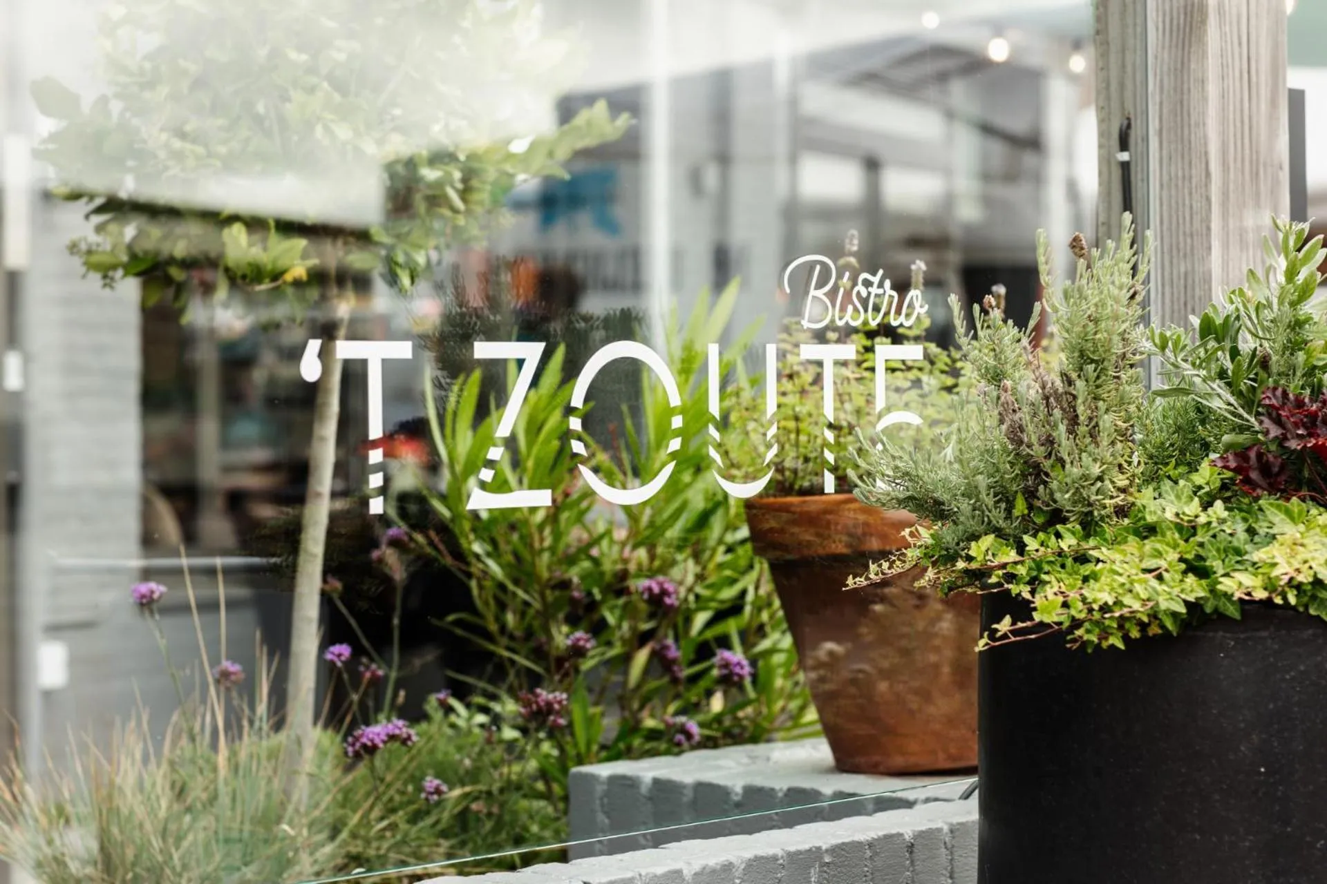 Restaurant/places to eat in Strandhotel Zoutelande