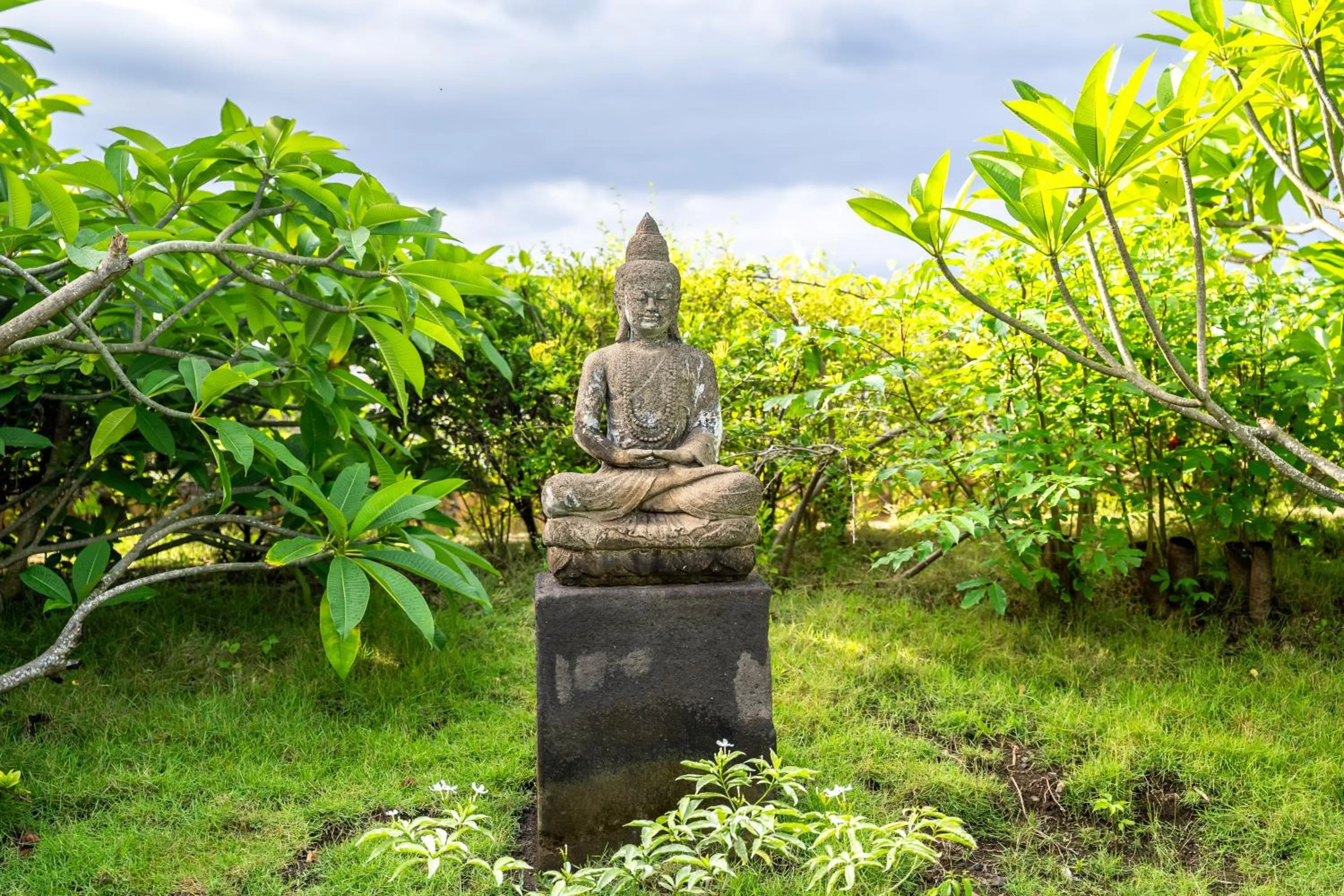 Natural landscape in Shunyata Villas Bali