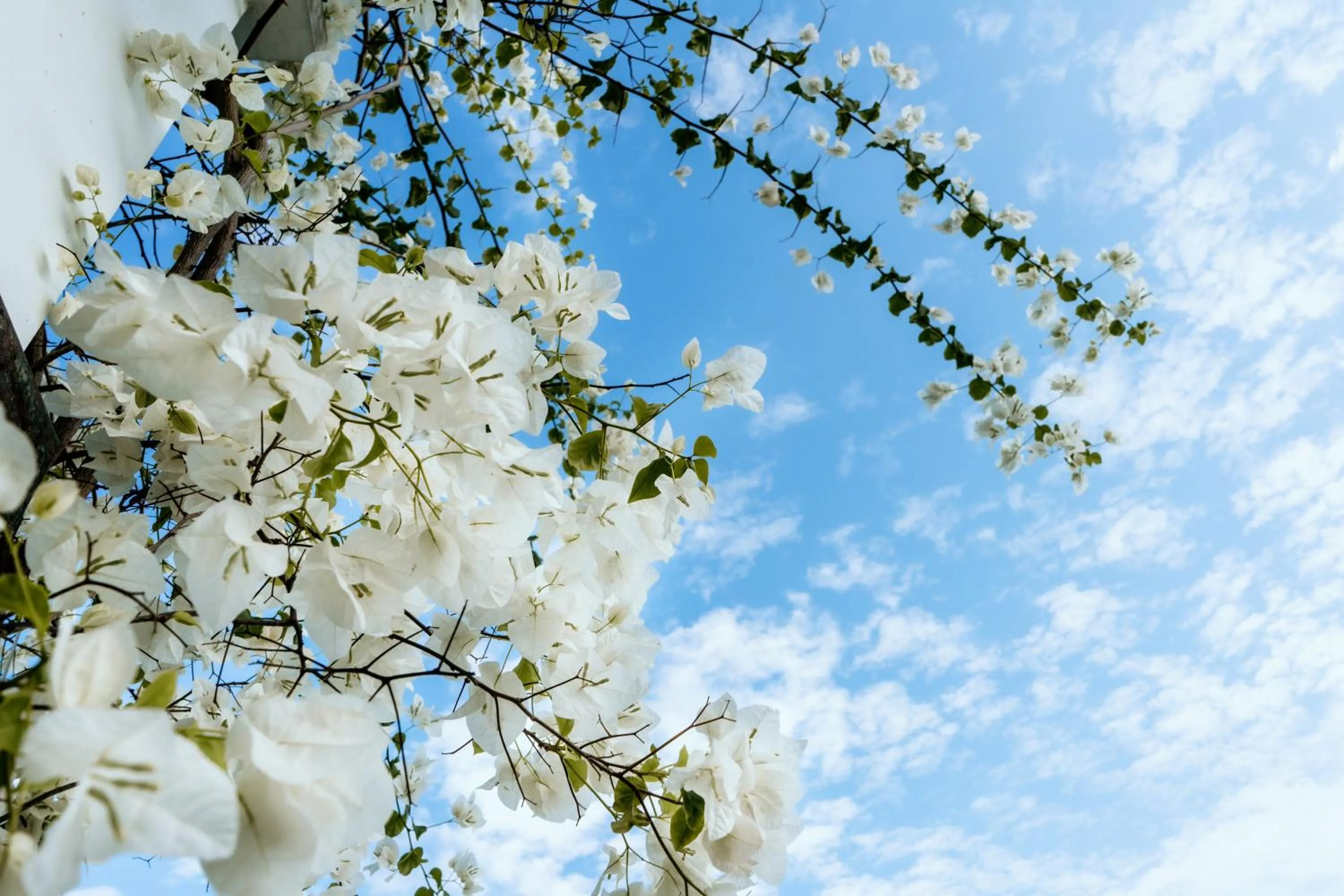 Property building in Shunyata Villas Bali