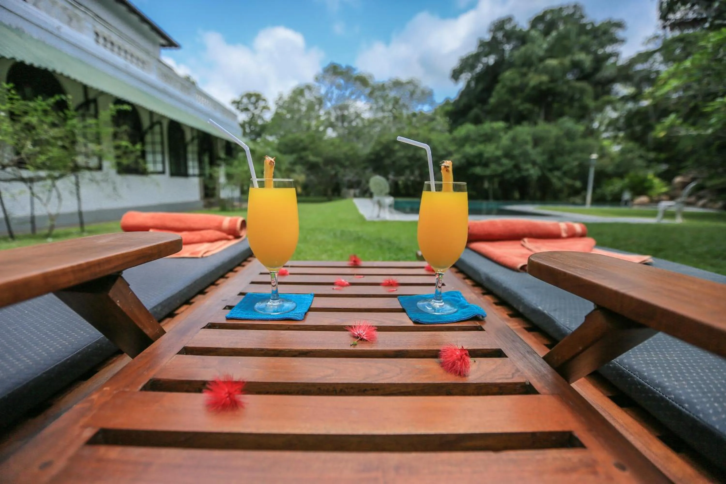 Drinks in Horathapola Estate