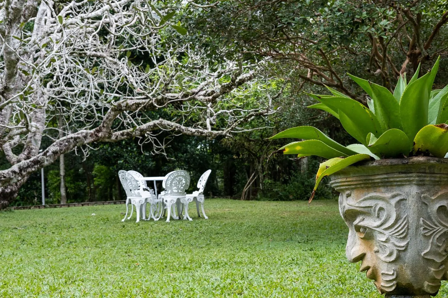 Day in Horathapola Estate