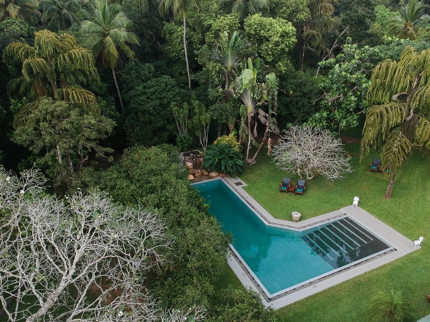 Bird's eye view in Horathapola Estate