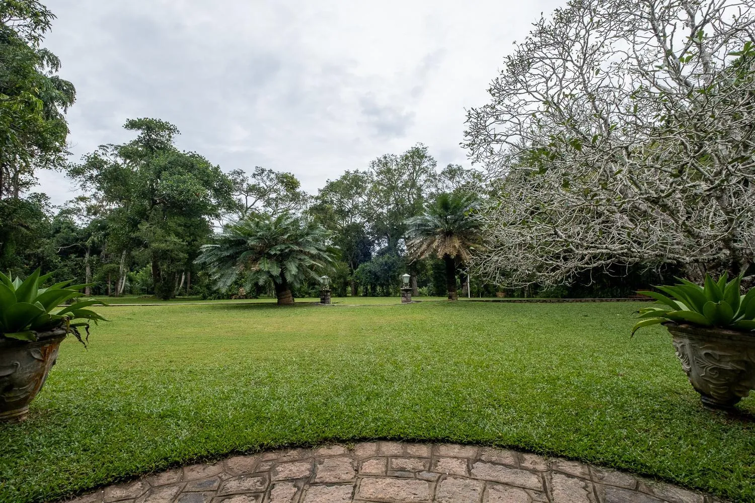 Day in Horathapola Estate