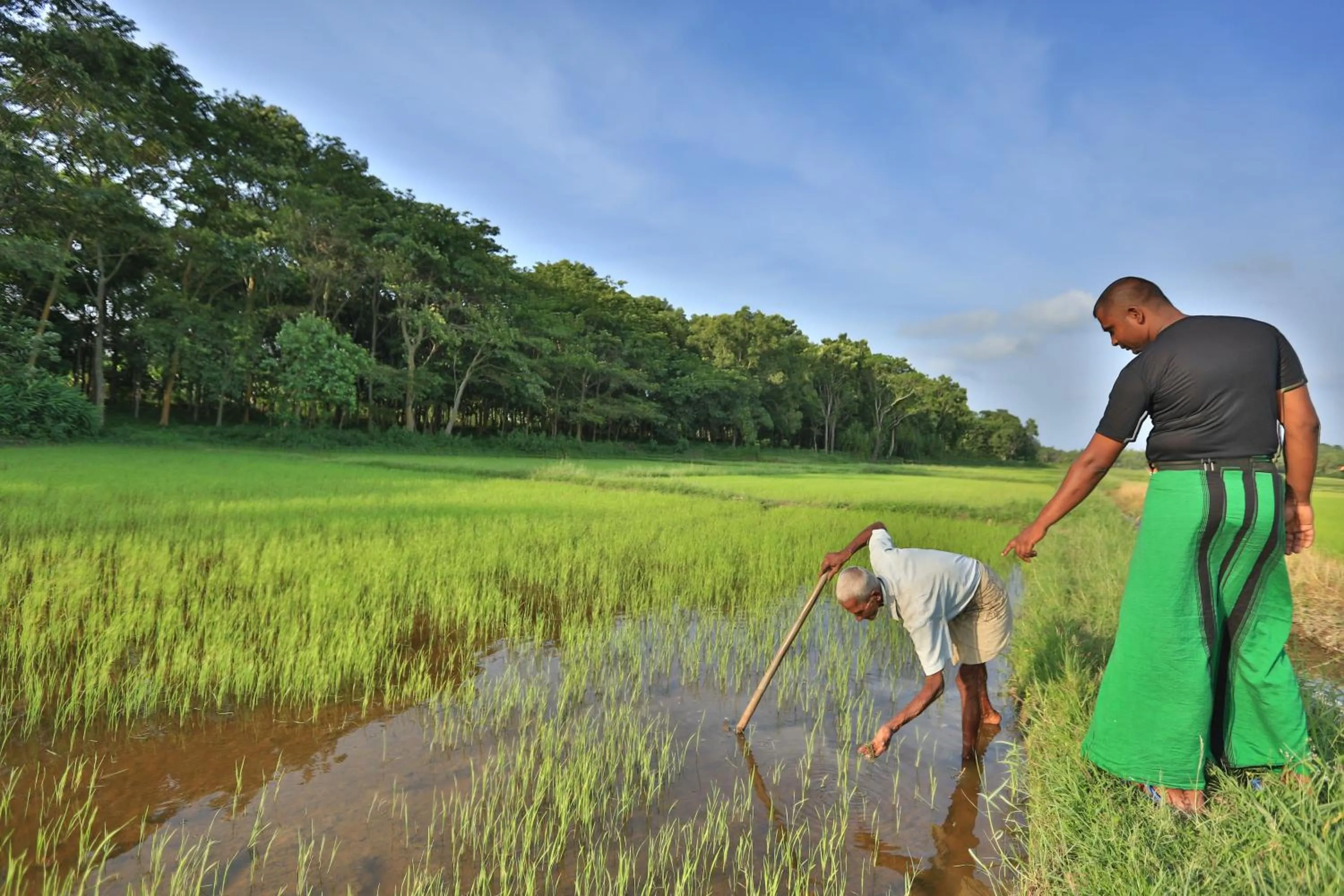 People in Horathapola Estate