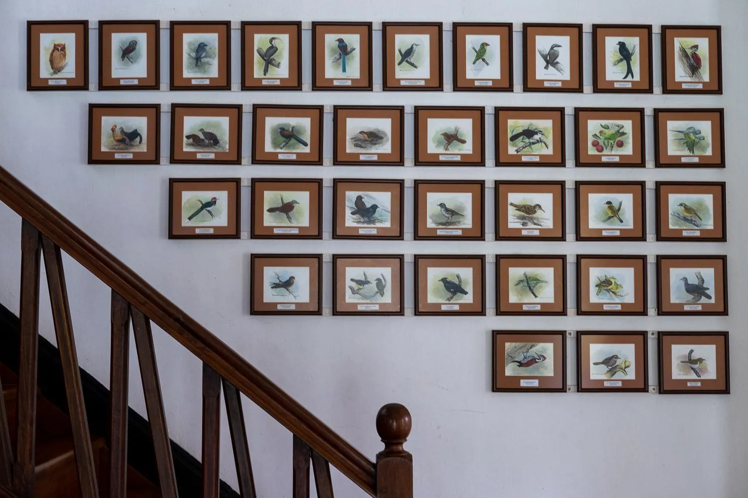 Decorative detail in Horathapola Estate