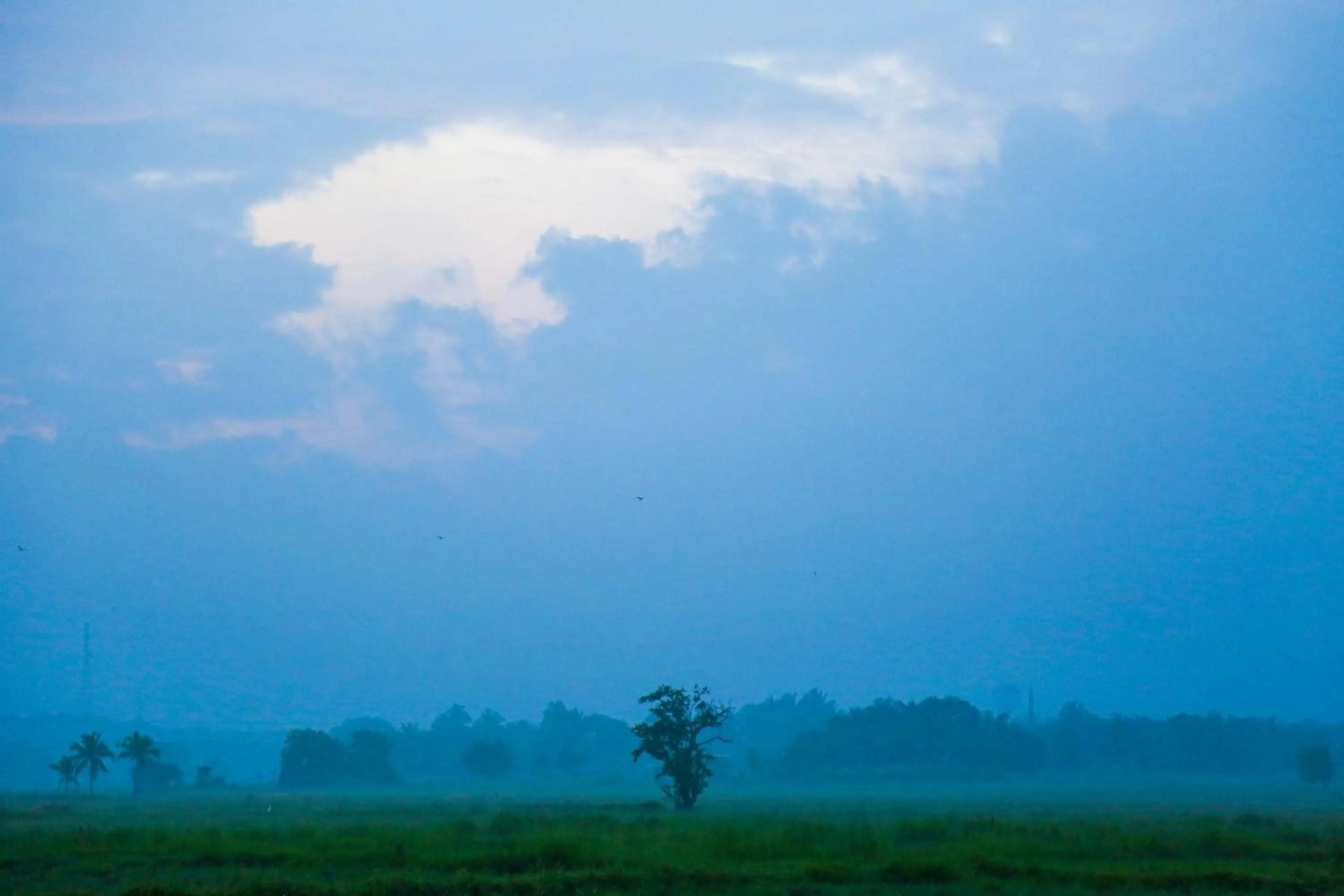 Natural landscape in Gimanhala Hotel