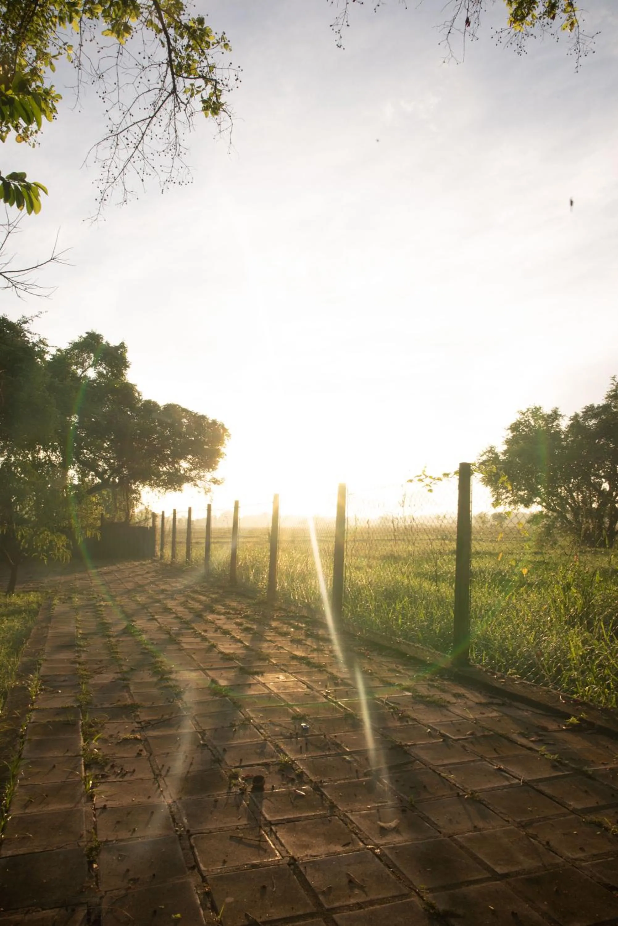Sunset in Gimanhala Hotel