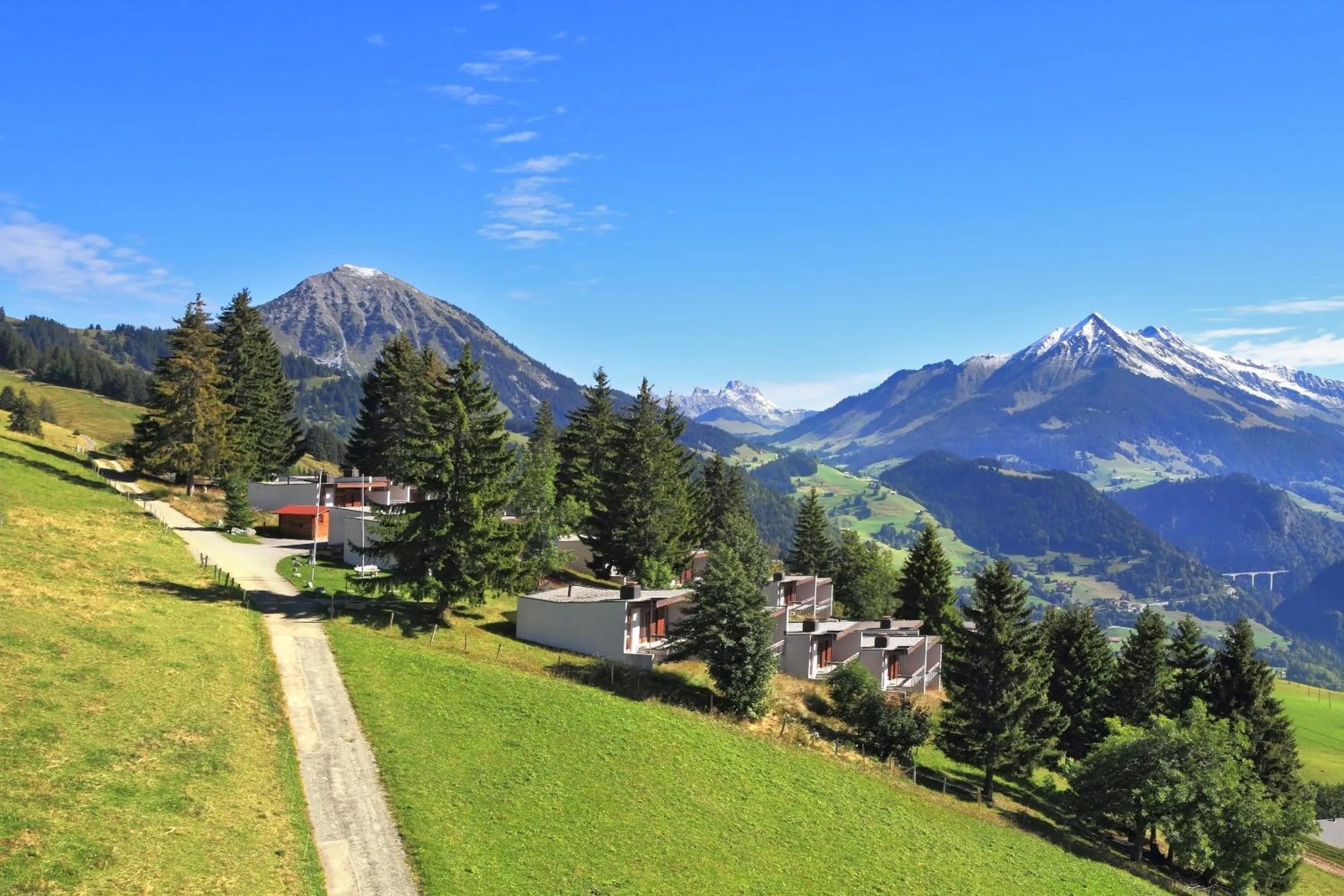 Spring in Leysin Lodge