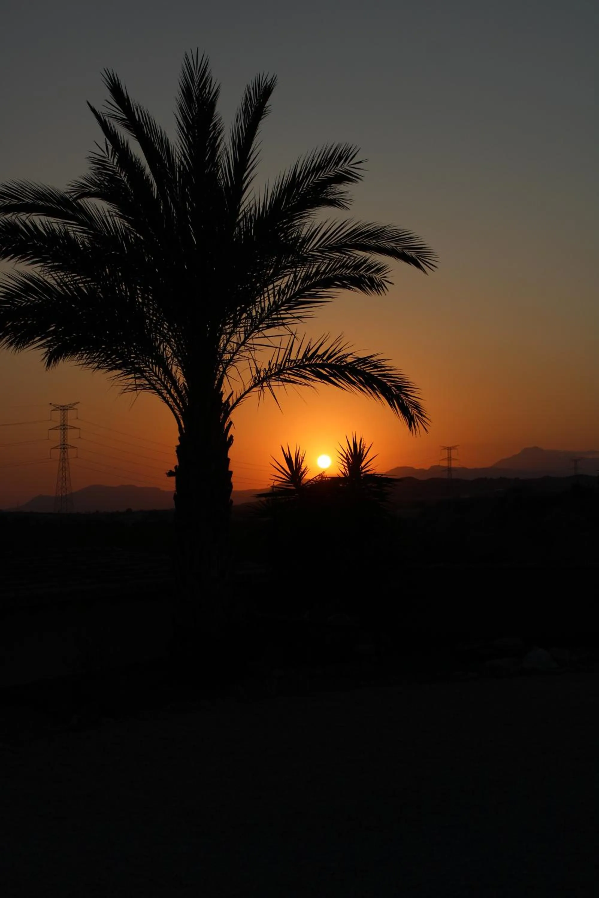 Sunset in The Olive Mill