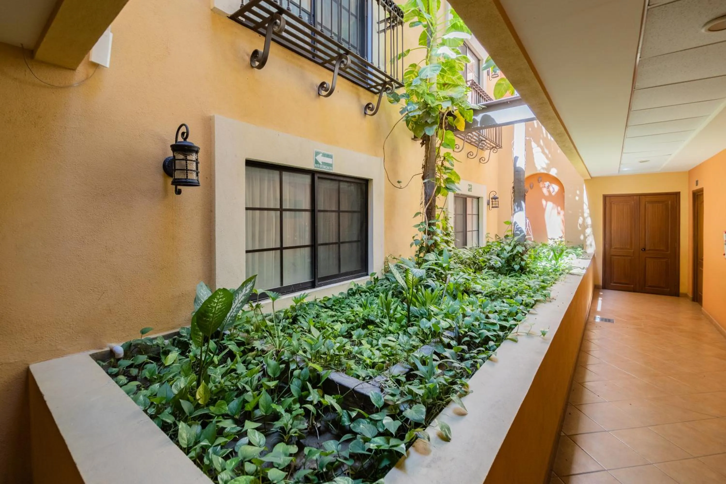 Garden in HOTEL COLLI