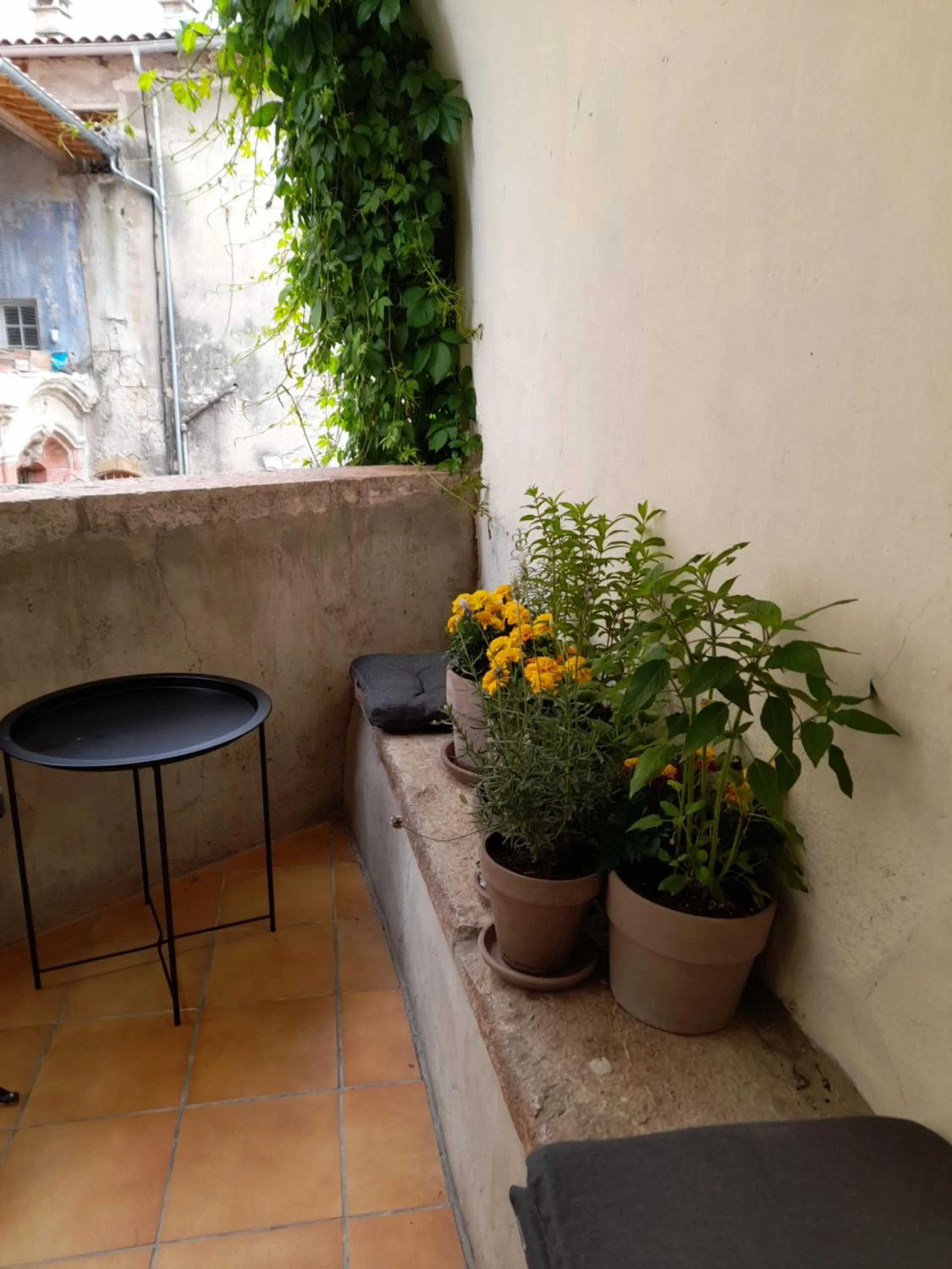 Balcony/Terrace in La Tour de Pezene