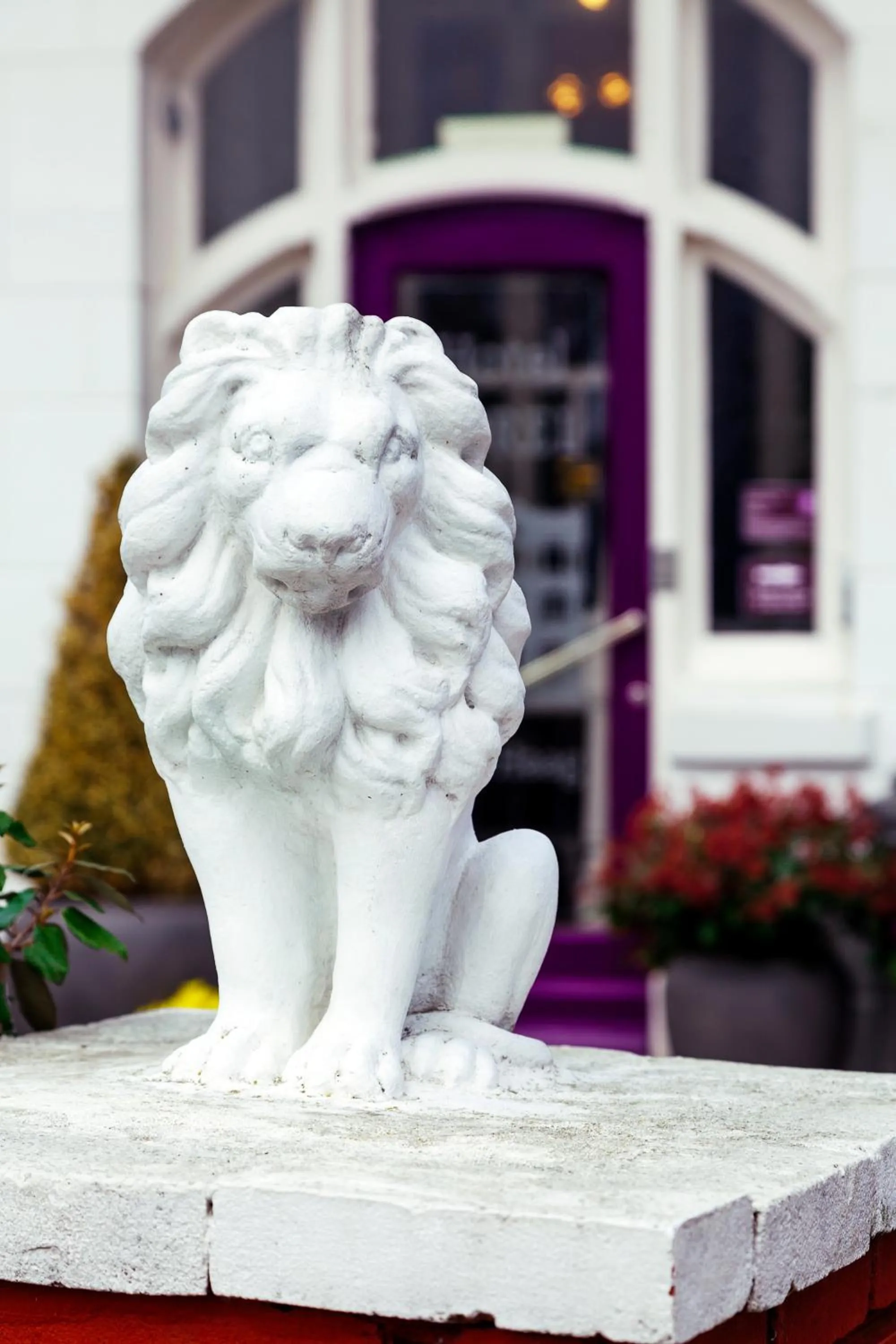 Decorative detail in Hotel Corel