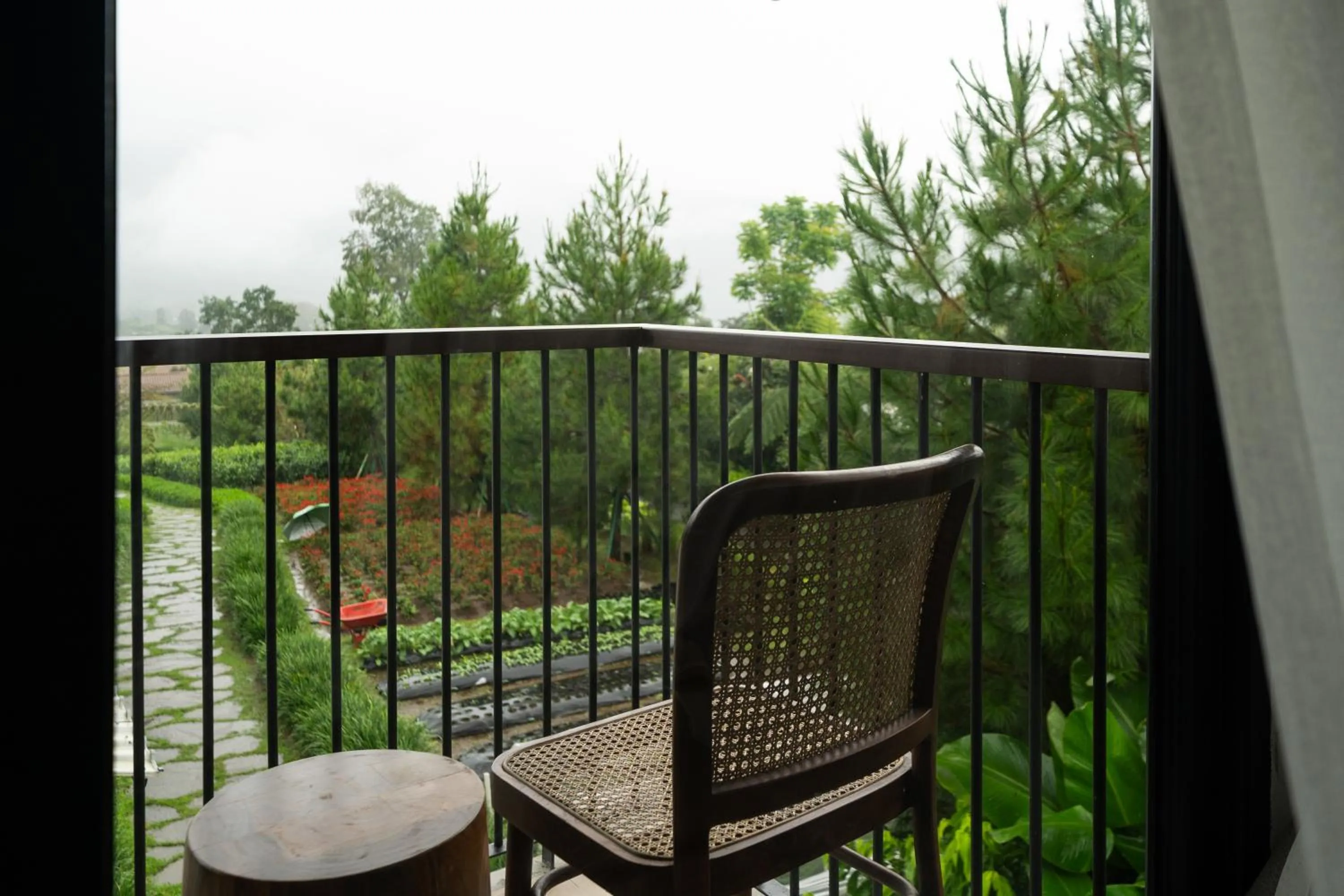 Day in Dusun Bedugul Asri