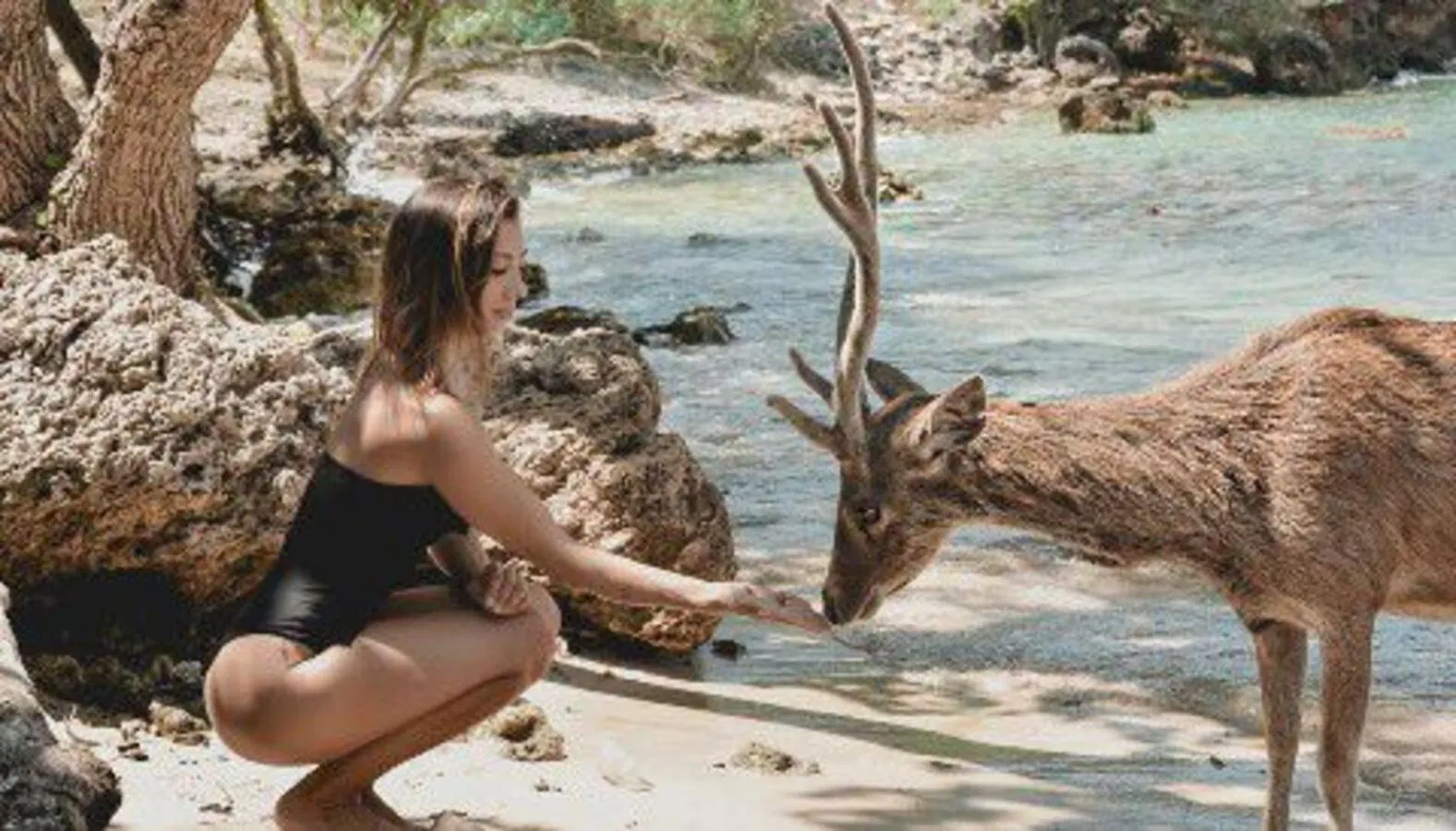 Activities in Maha Nusa Menjangan