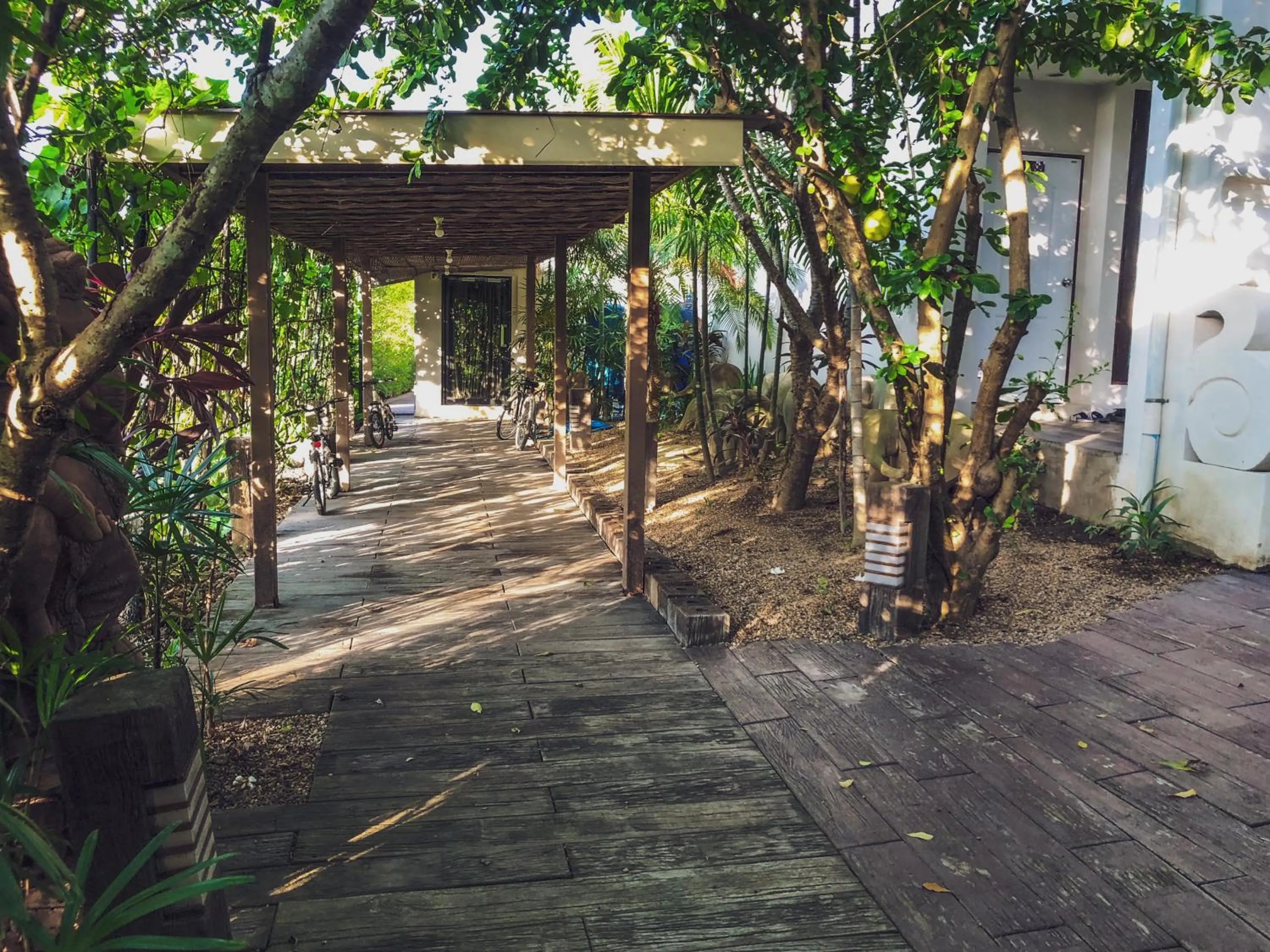 Natural landscape in Beaver Club Homestay