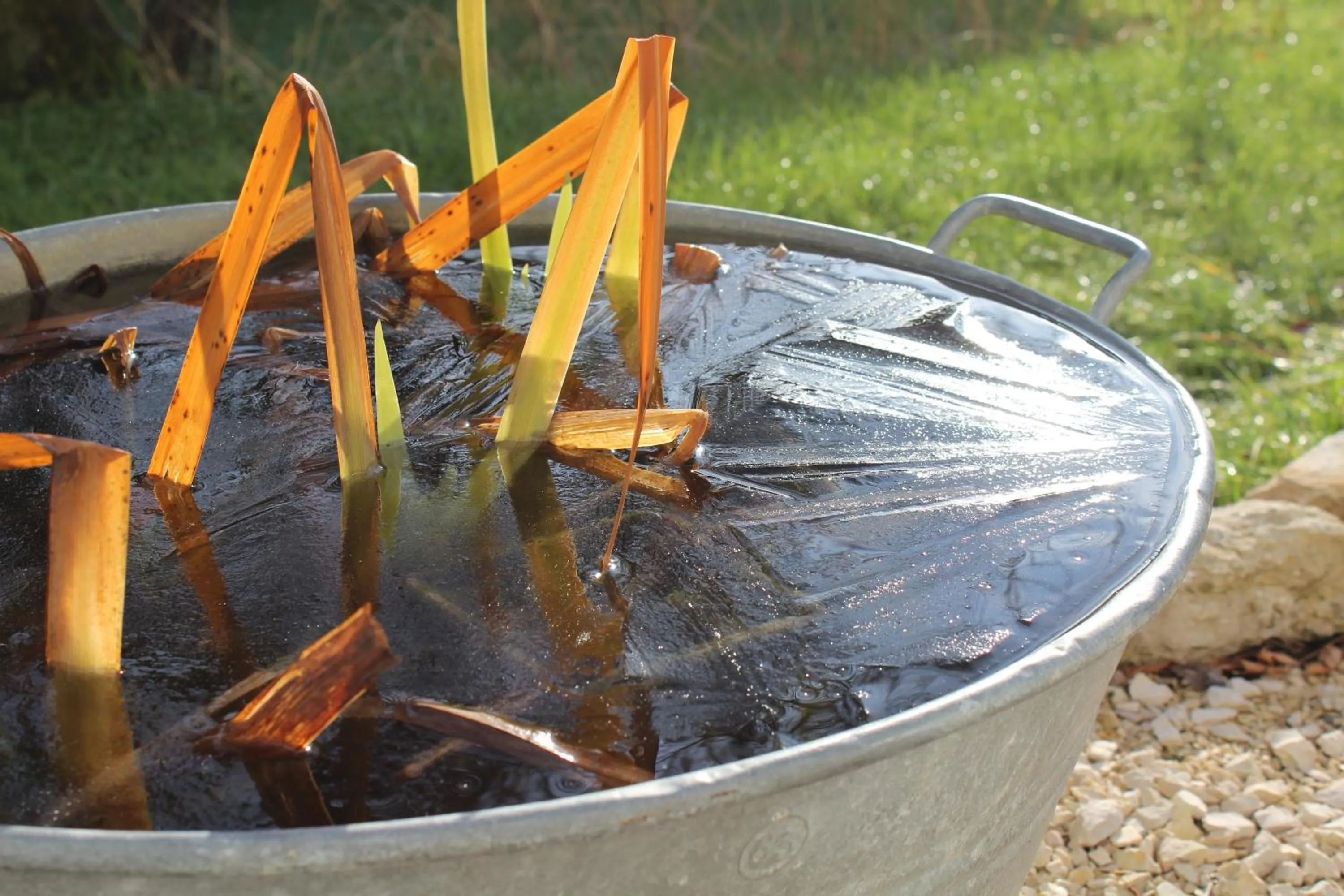 Garden in Carpe Diem - Bnb - Chambres d'hôtes